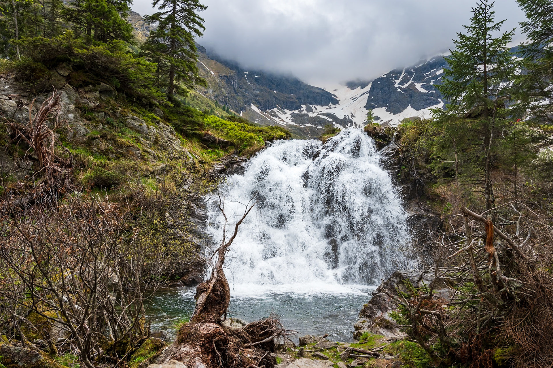 NZ6_0193