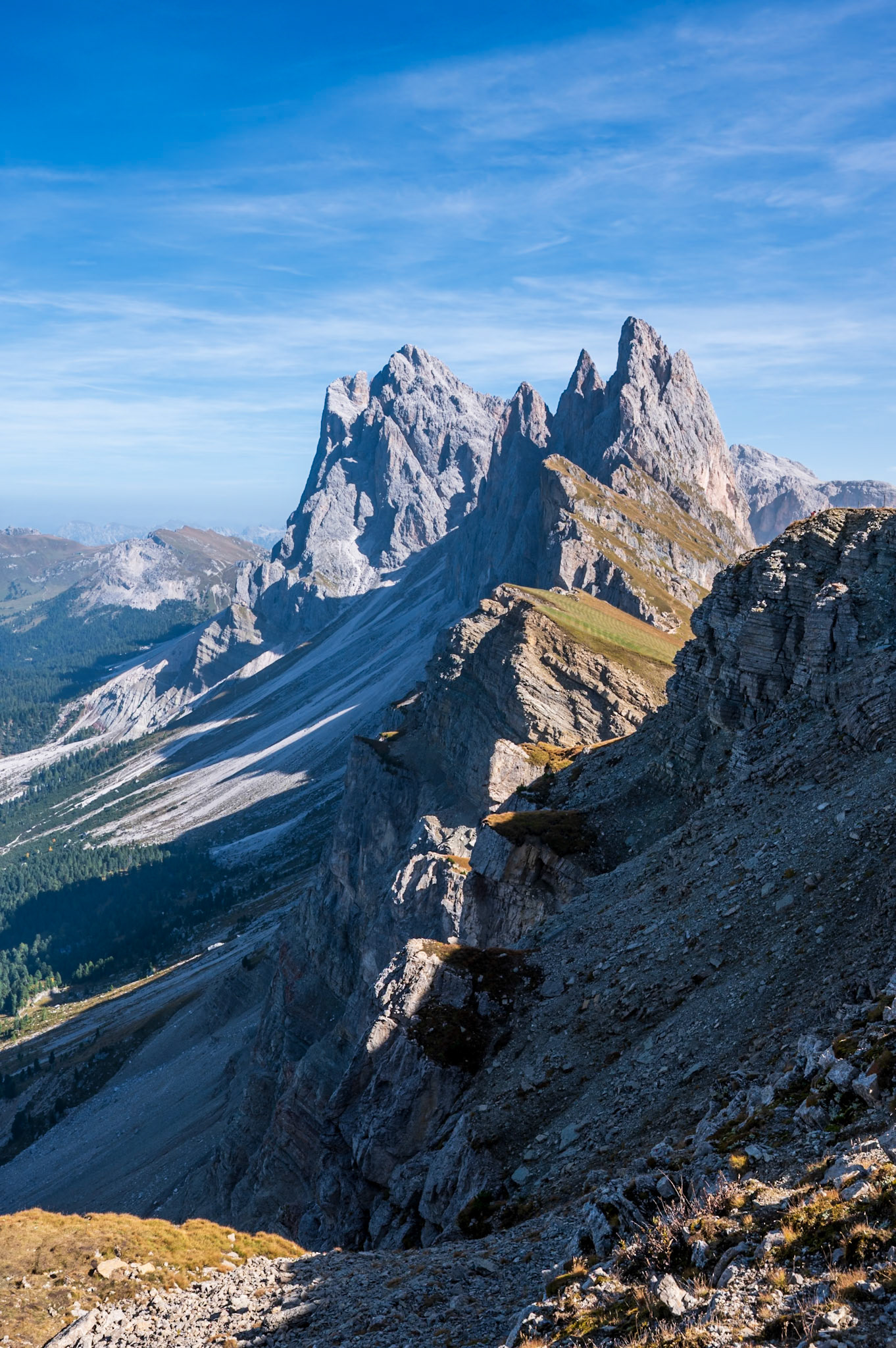 NZ6_3303