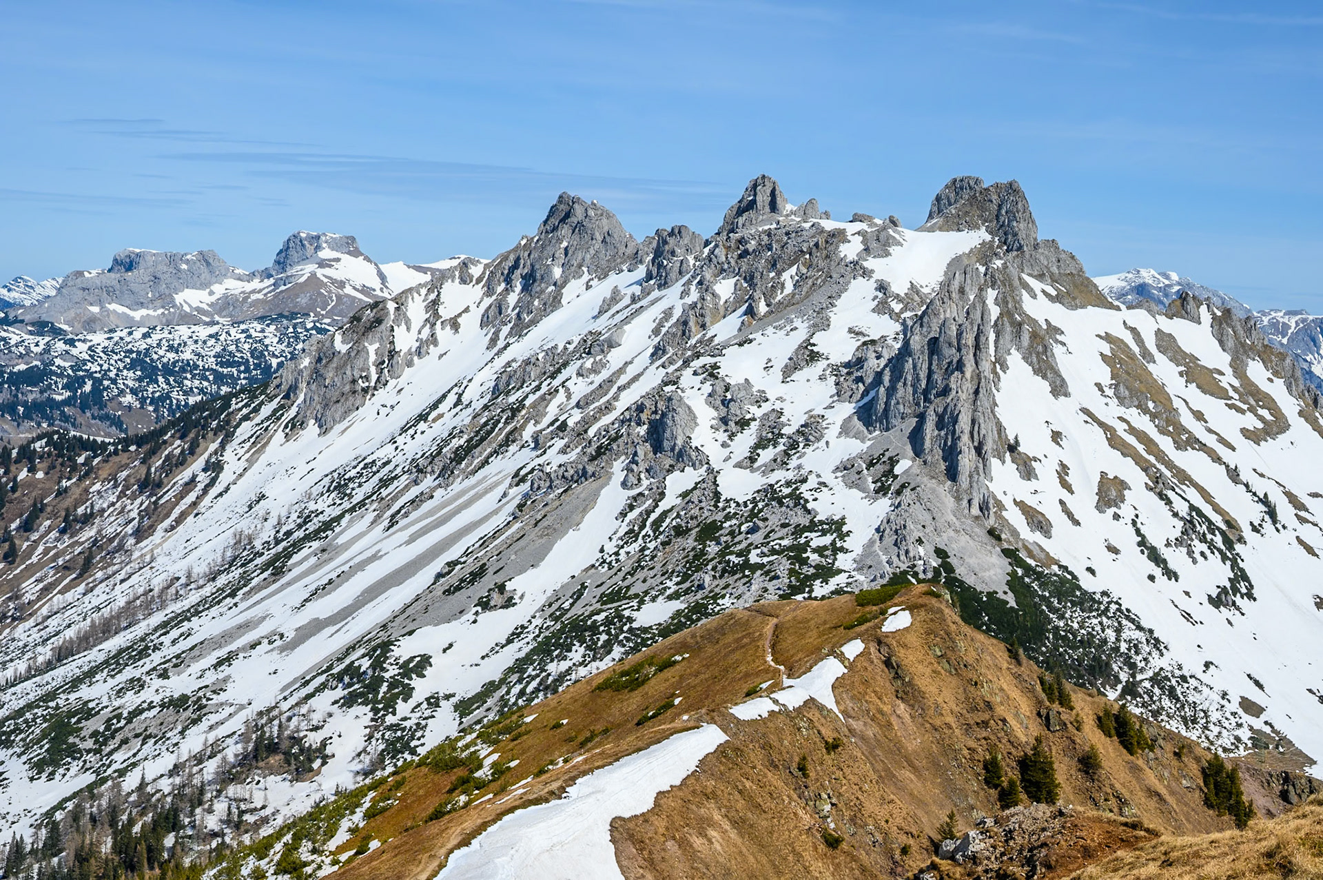 NZ6_5806
