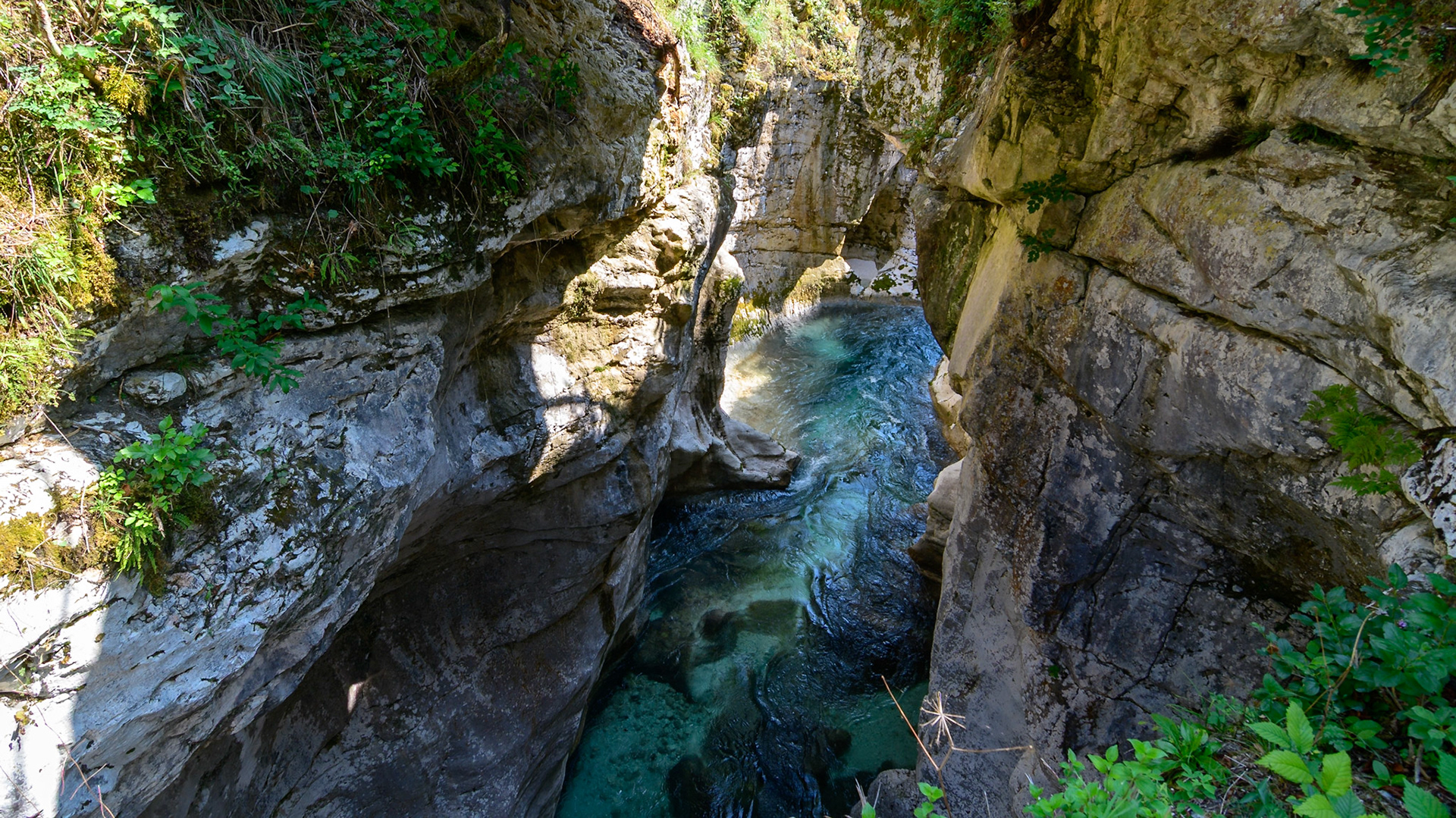 DSC_9895-HDR