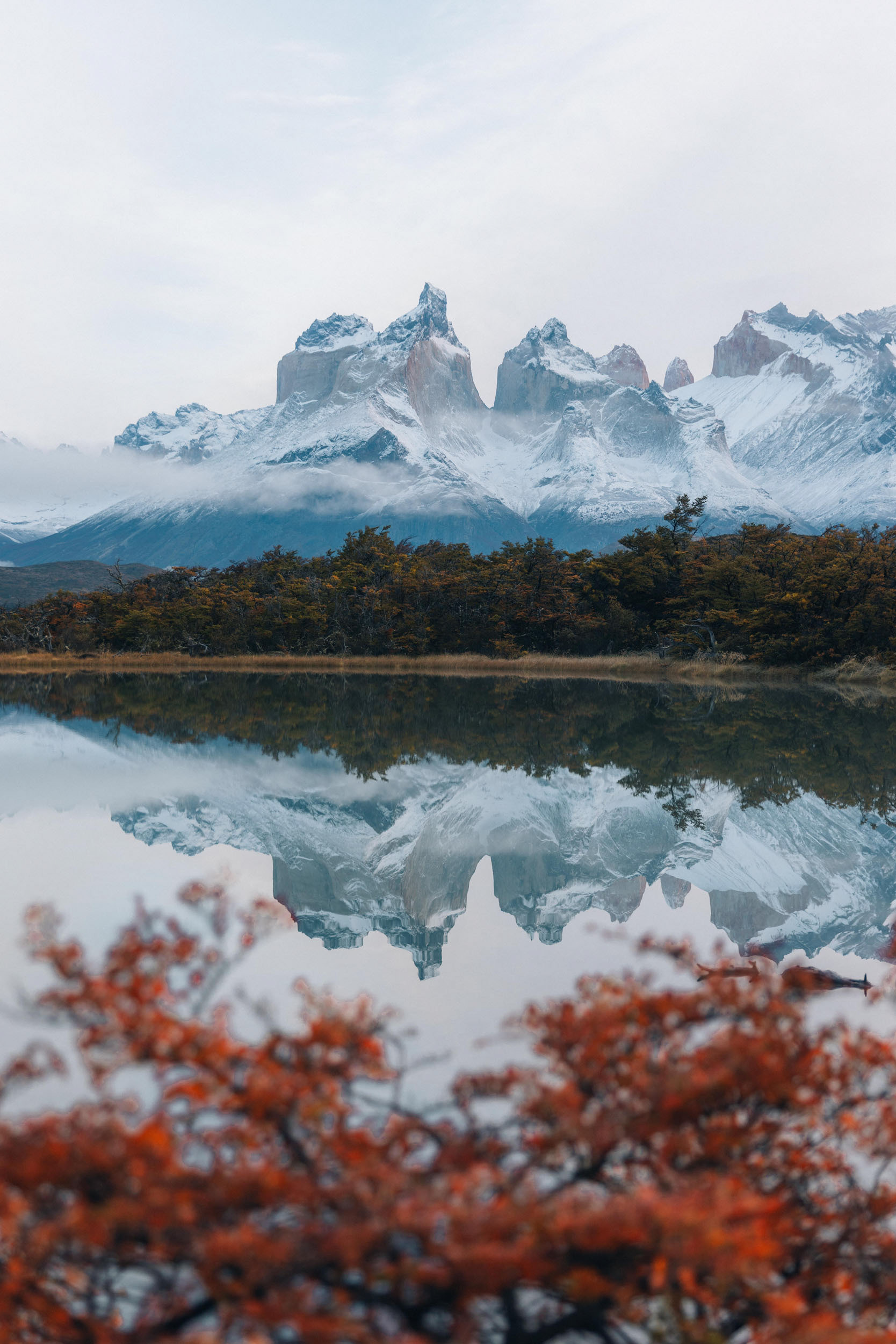 Entre dos mundos