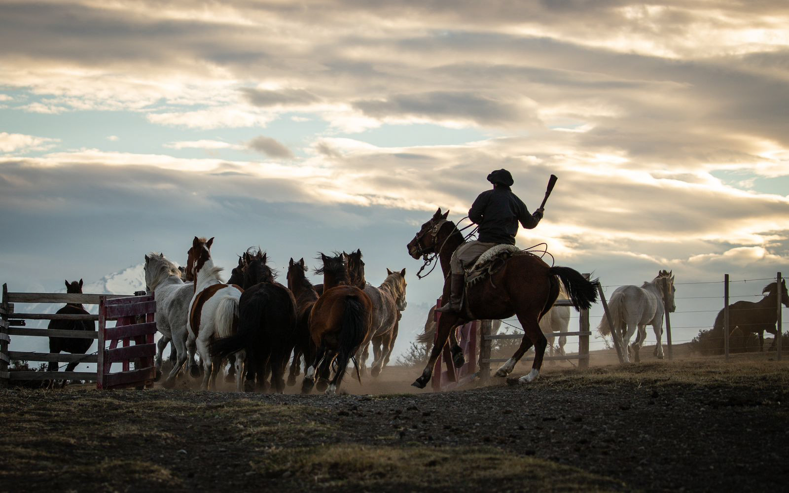 La tradición del campo