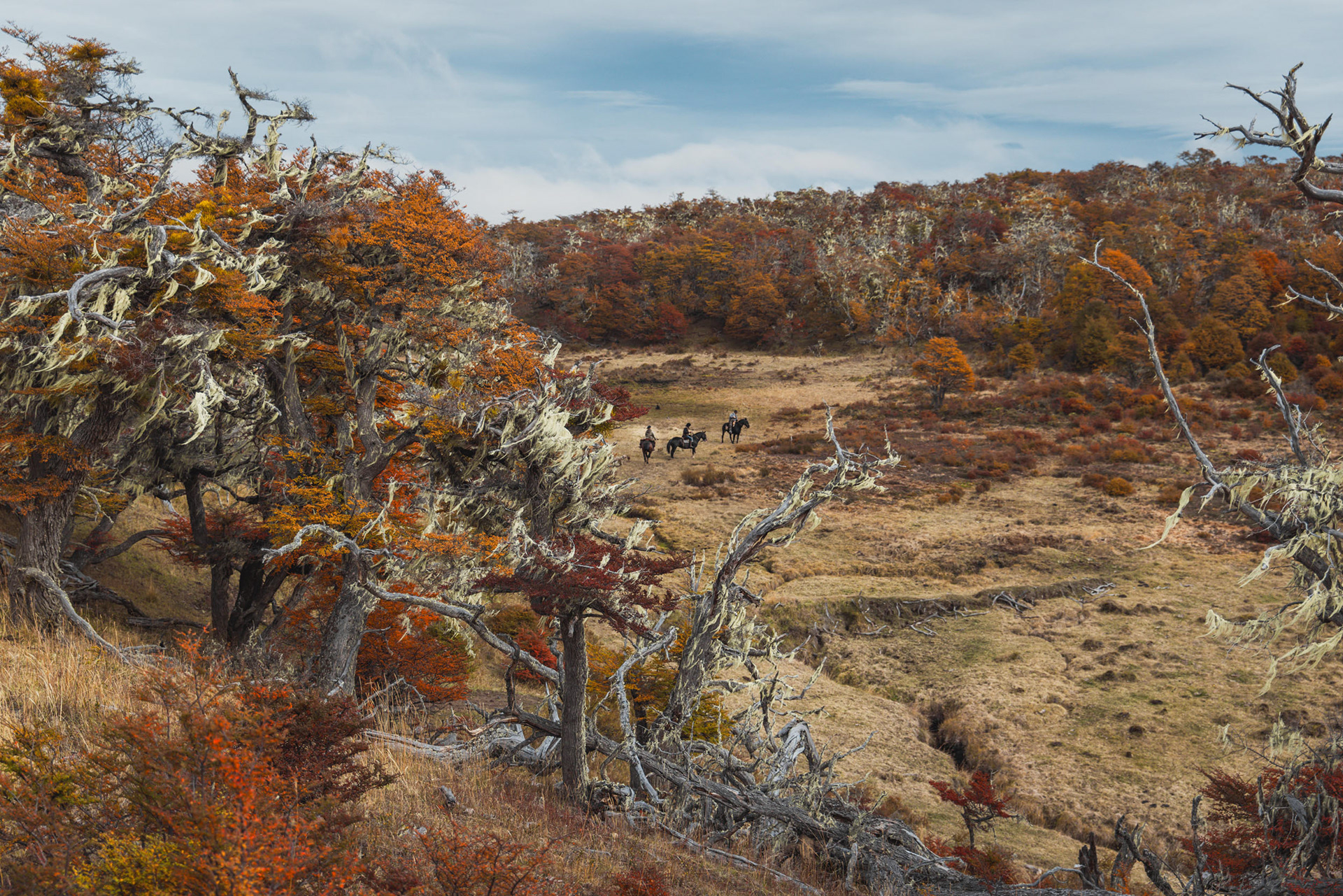 Tierra del Fuego