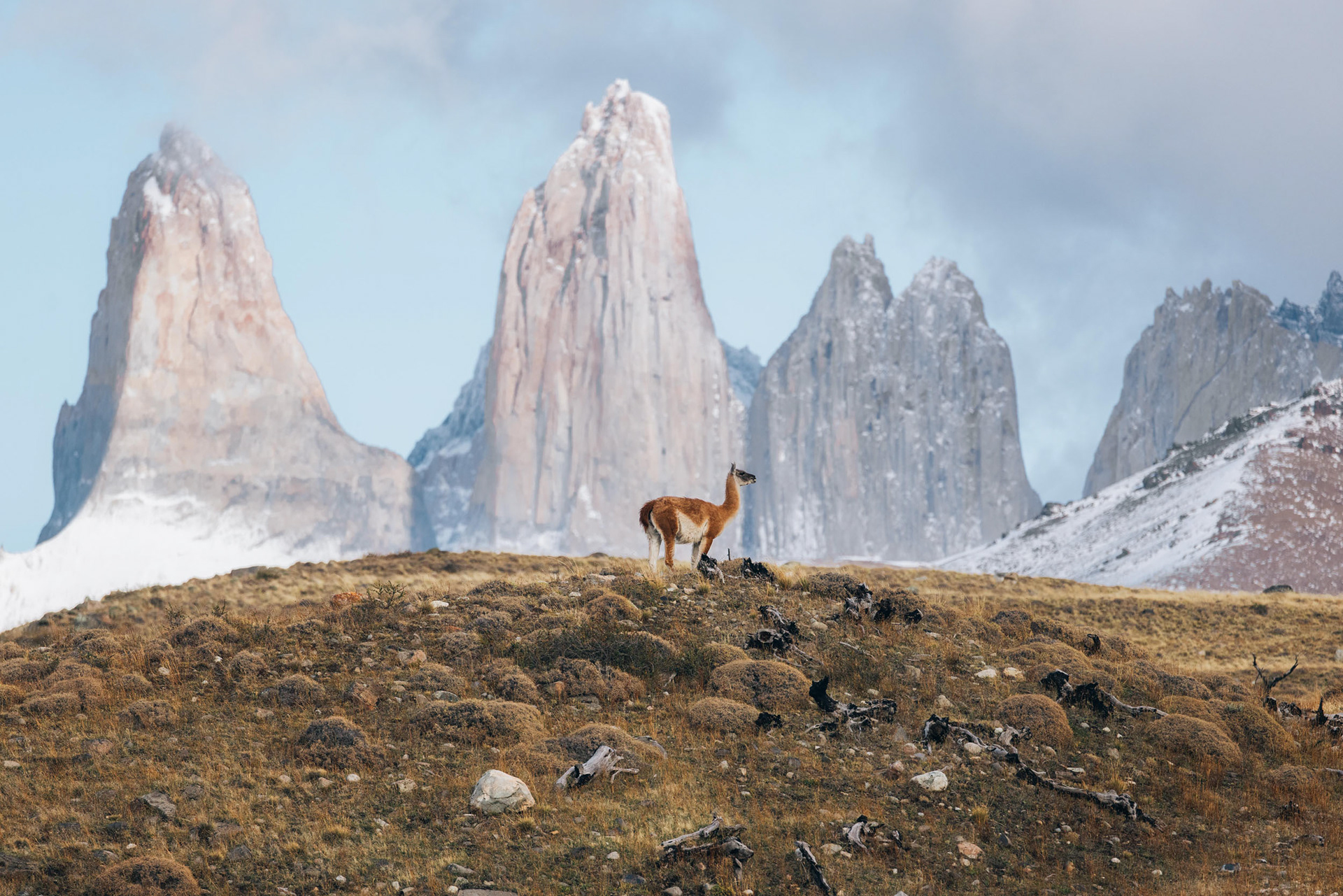 Centinela del Paine