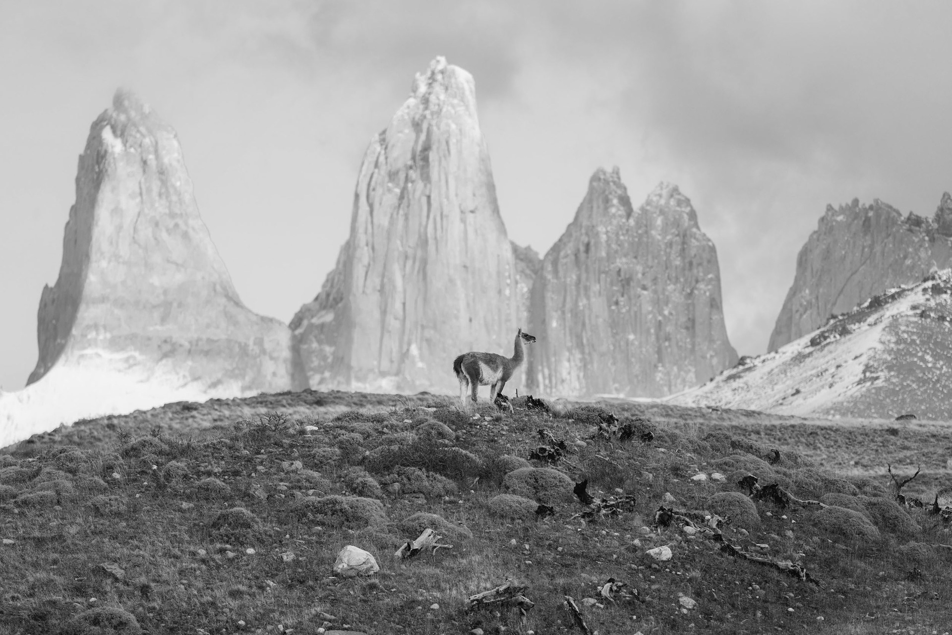 Centinela del Paine