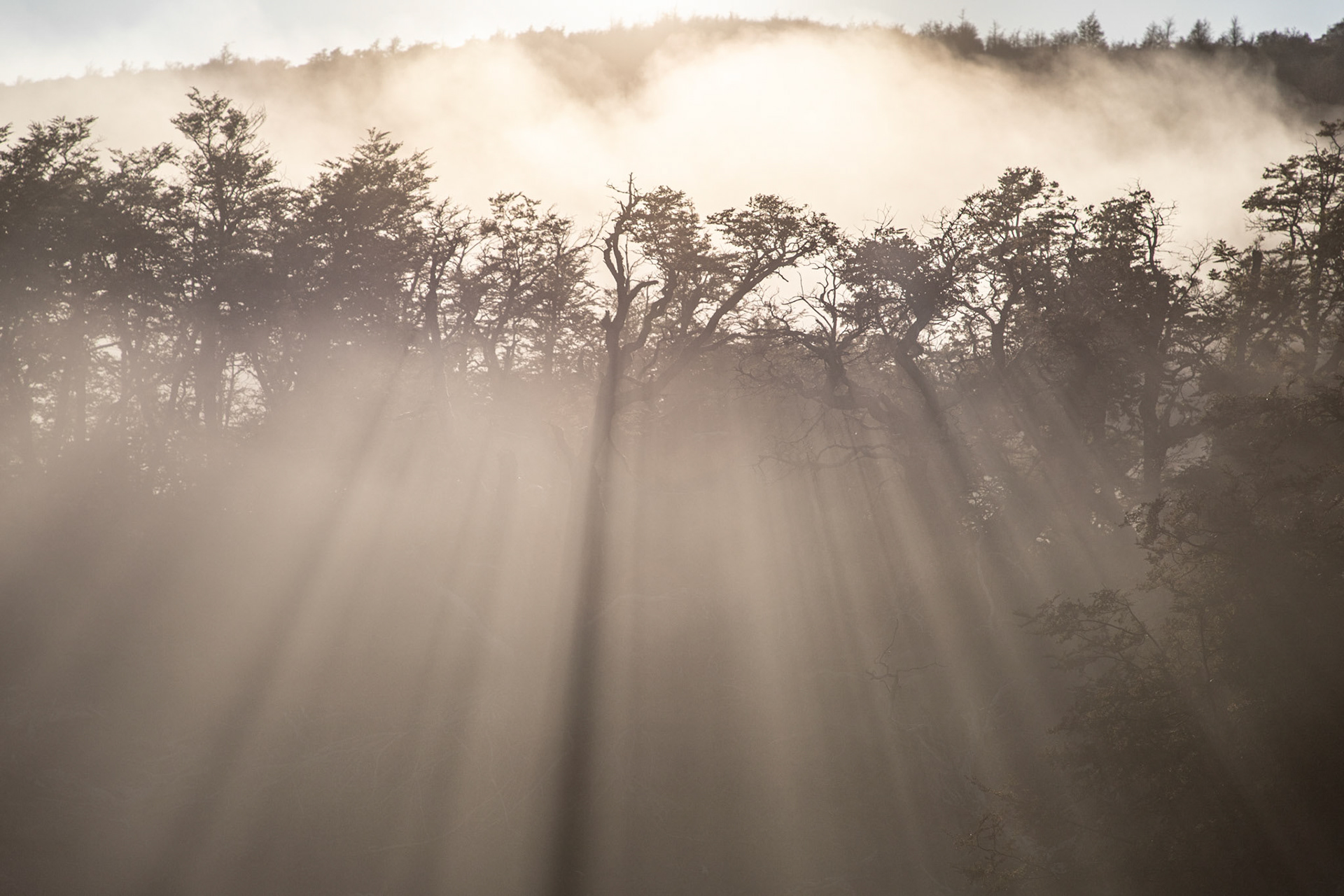 Sombras de luz