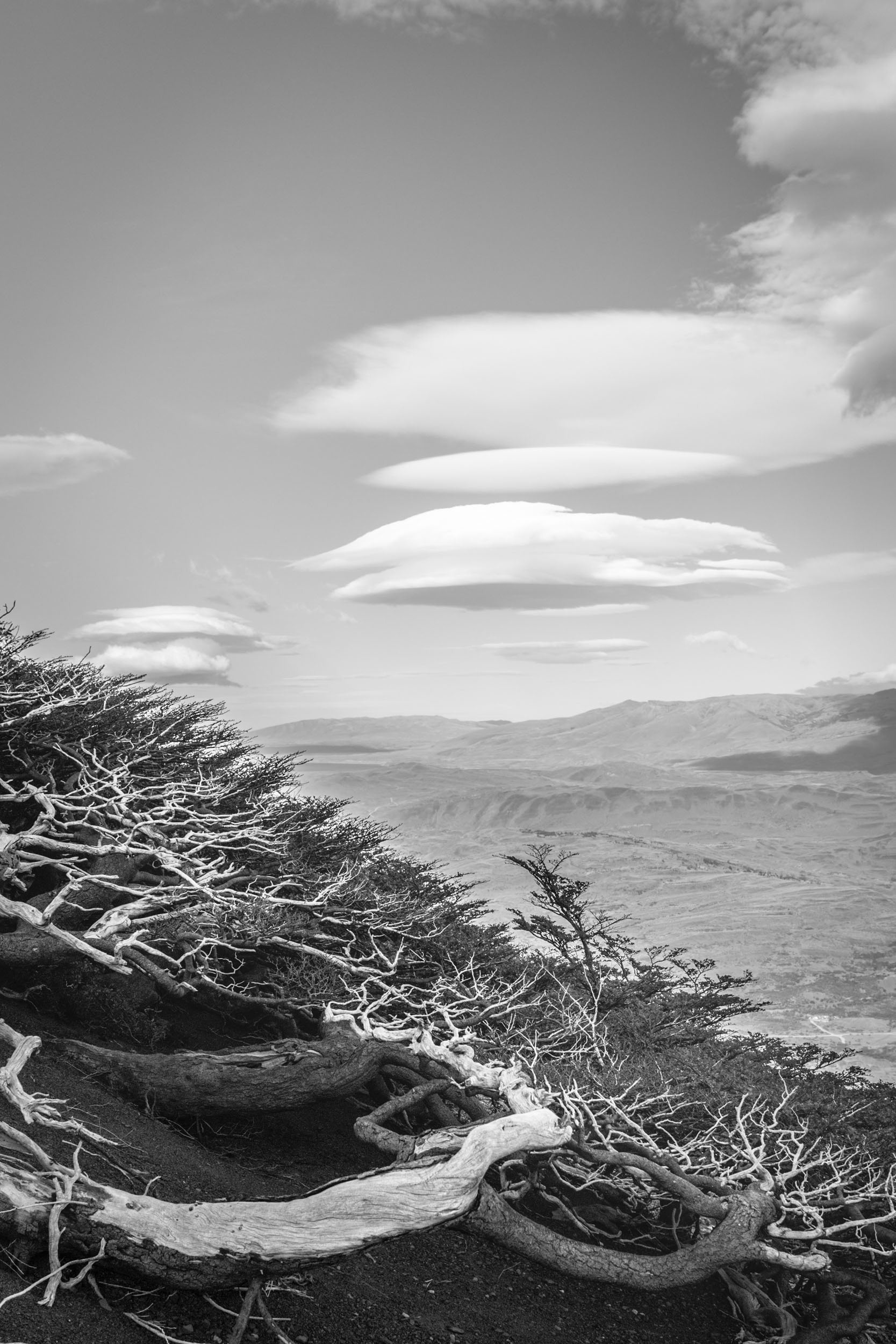 Cerro Paine