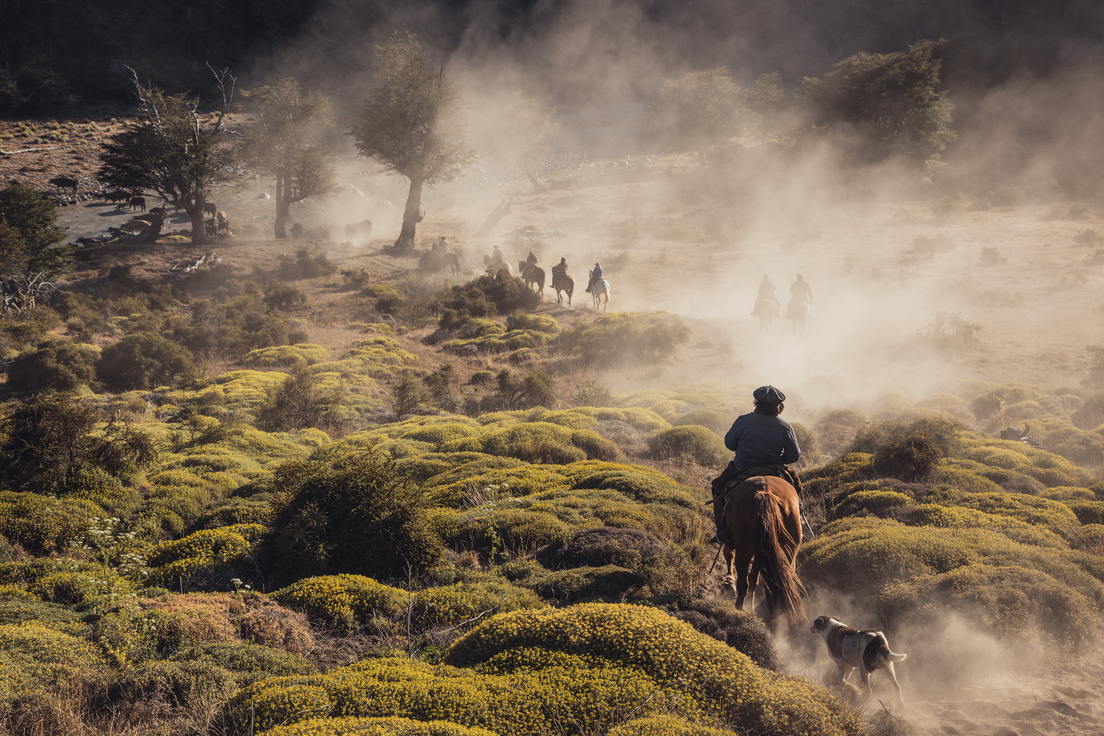 El camino a la Porfiada