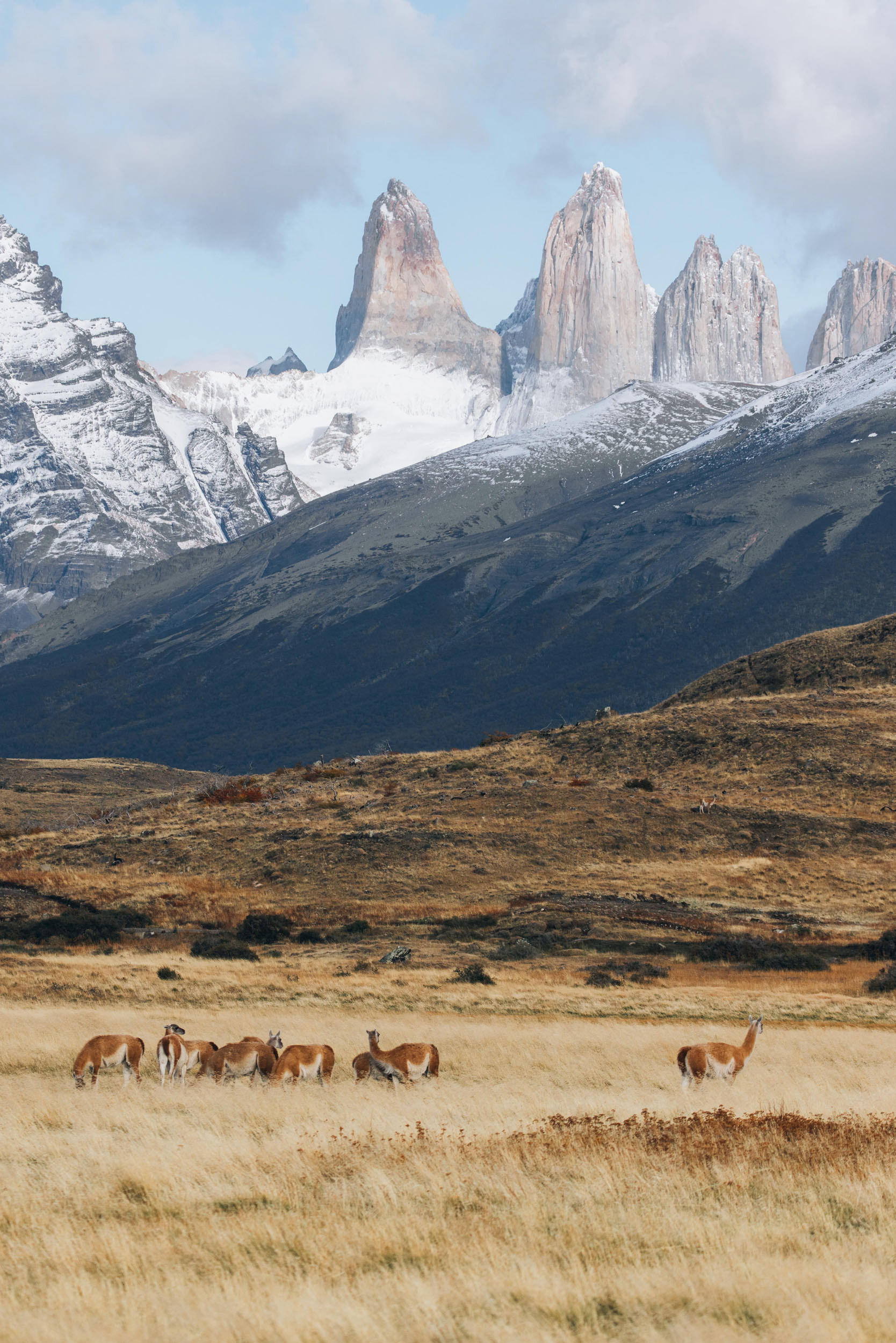 Cañadon Macho