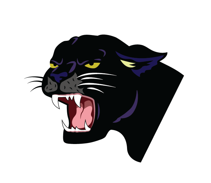 Baast Panther God, Ace