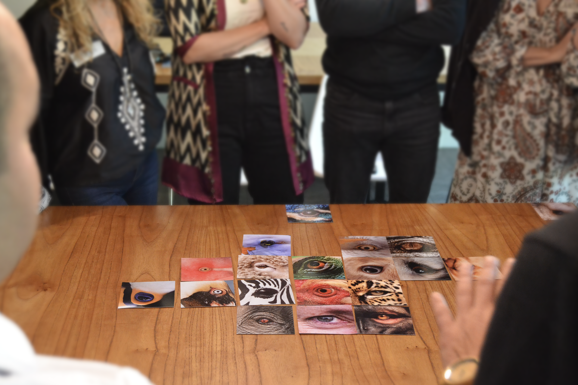 Innovation Experiences with kolibri.la