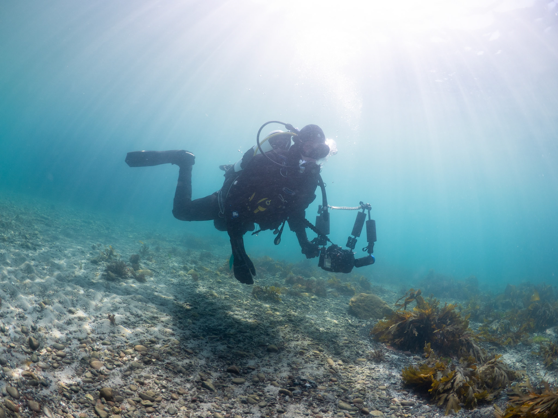 Diver in Shallow Waters