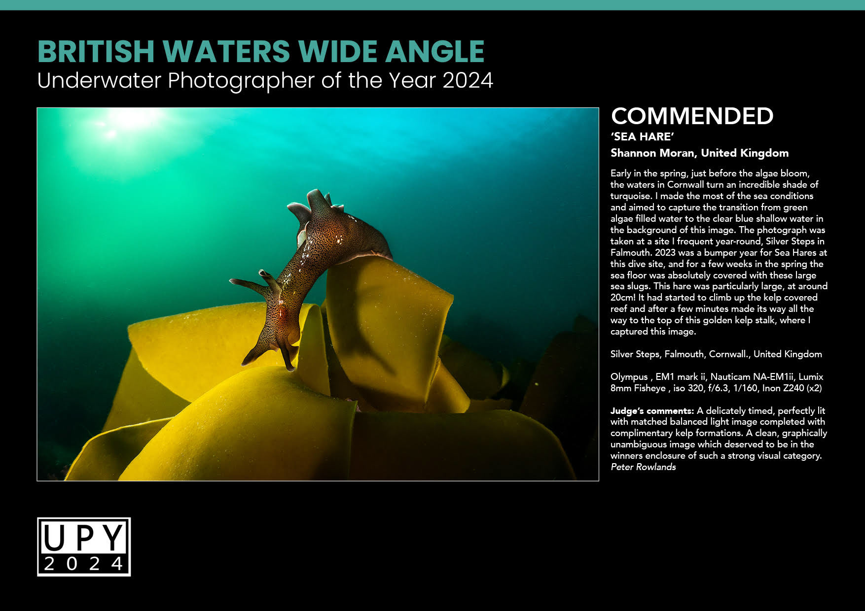 UPY 2024 - Commended