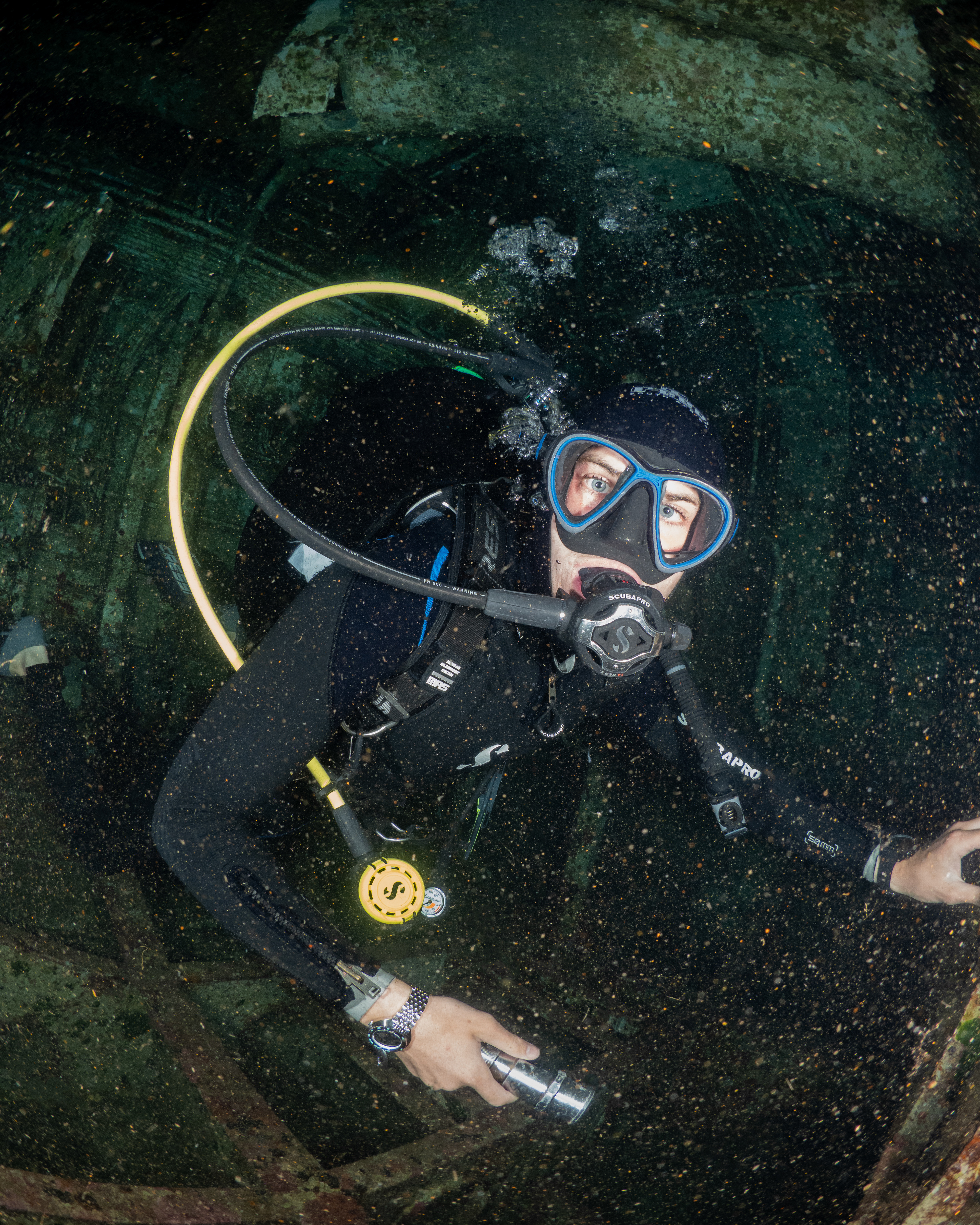 Diver in Wreck