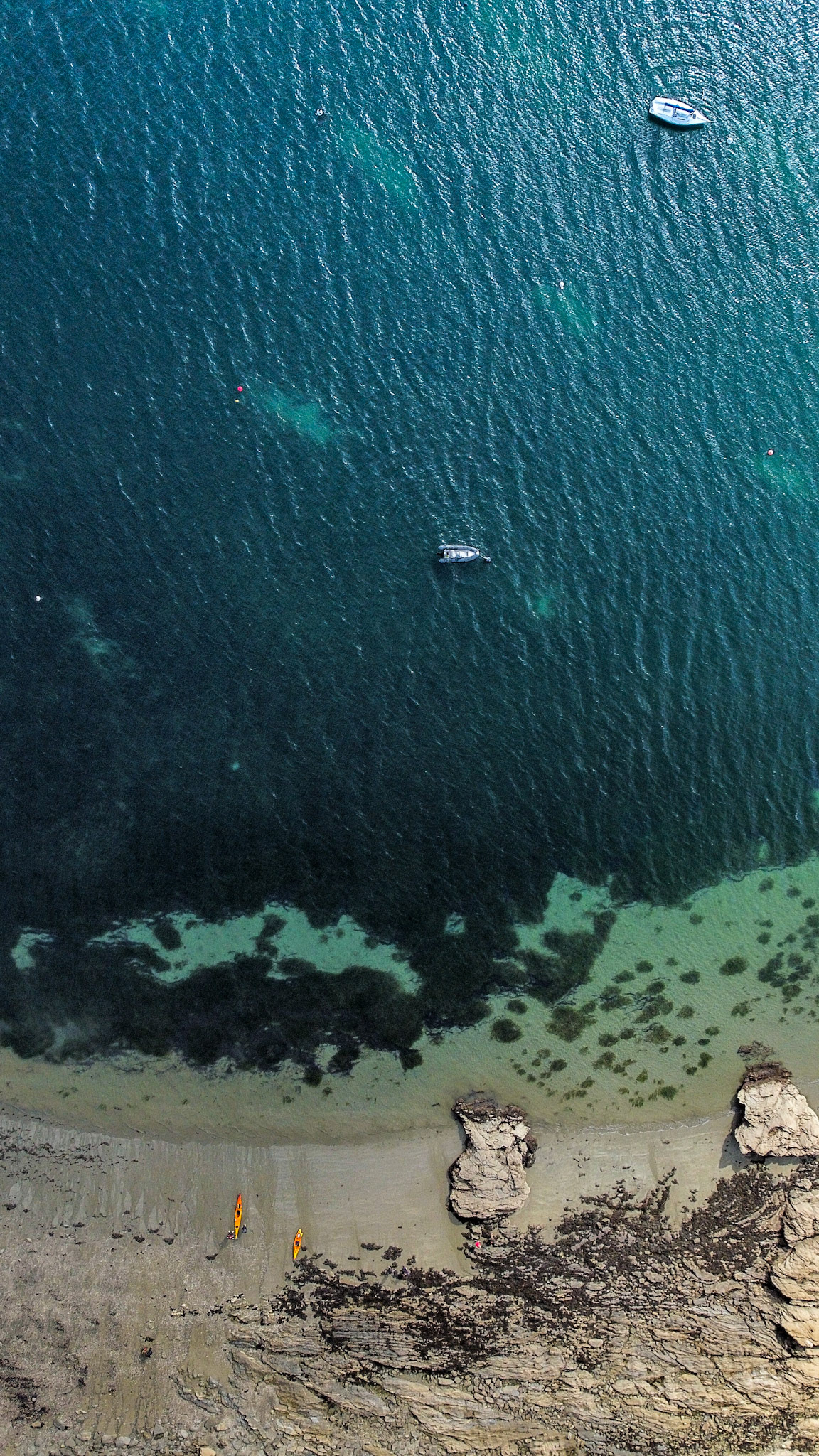 Aerial of Seagrass Scarring due to Anchor Damage