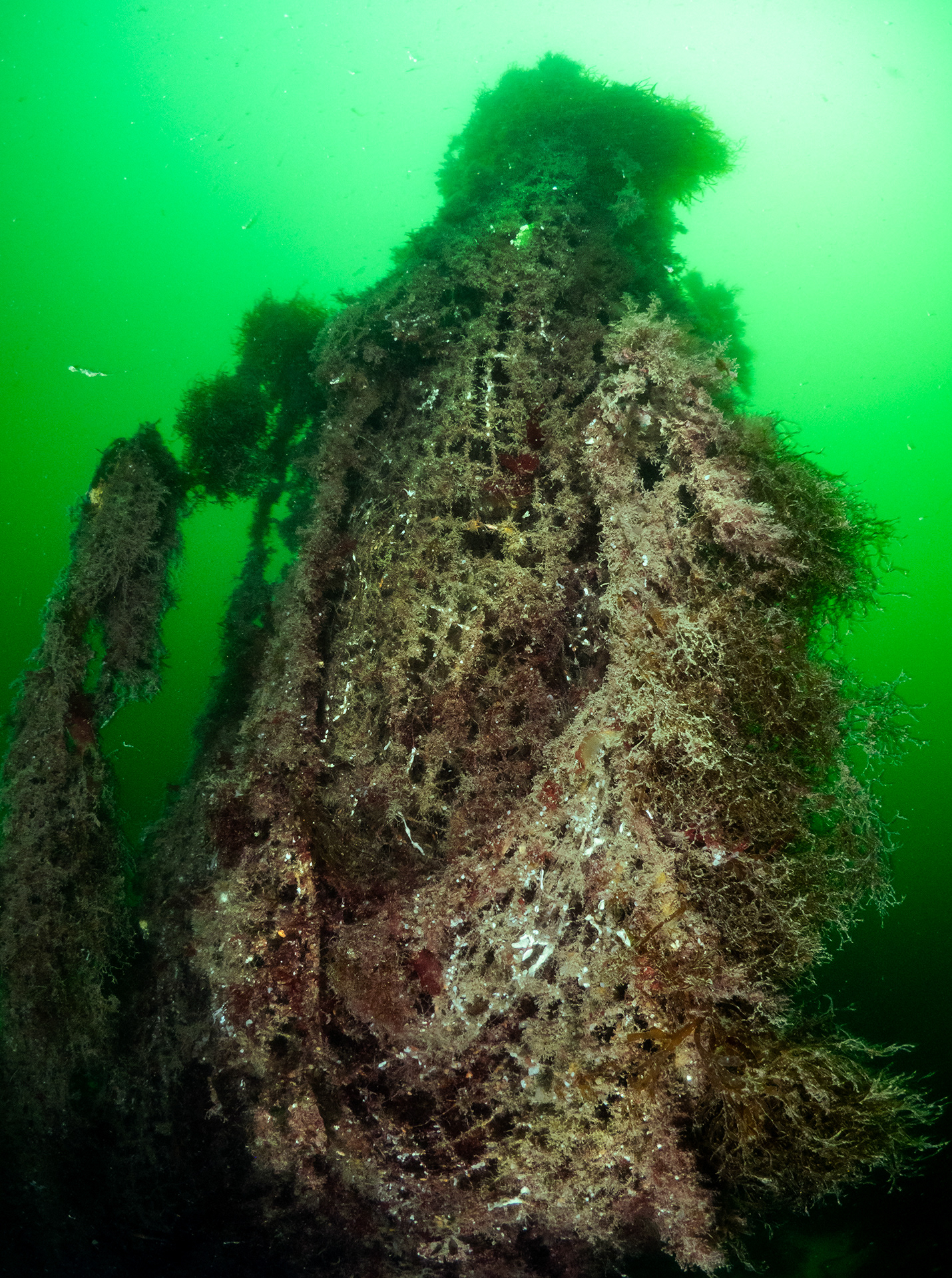 Ghost Net in Penzance