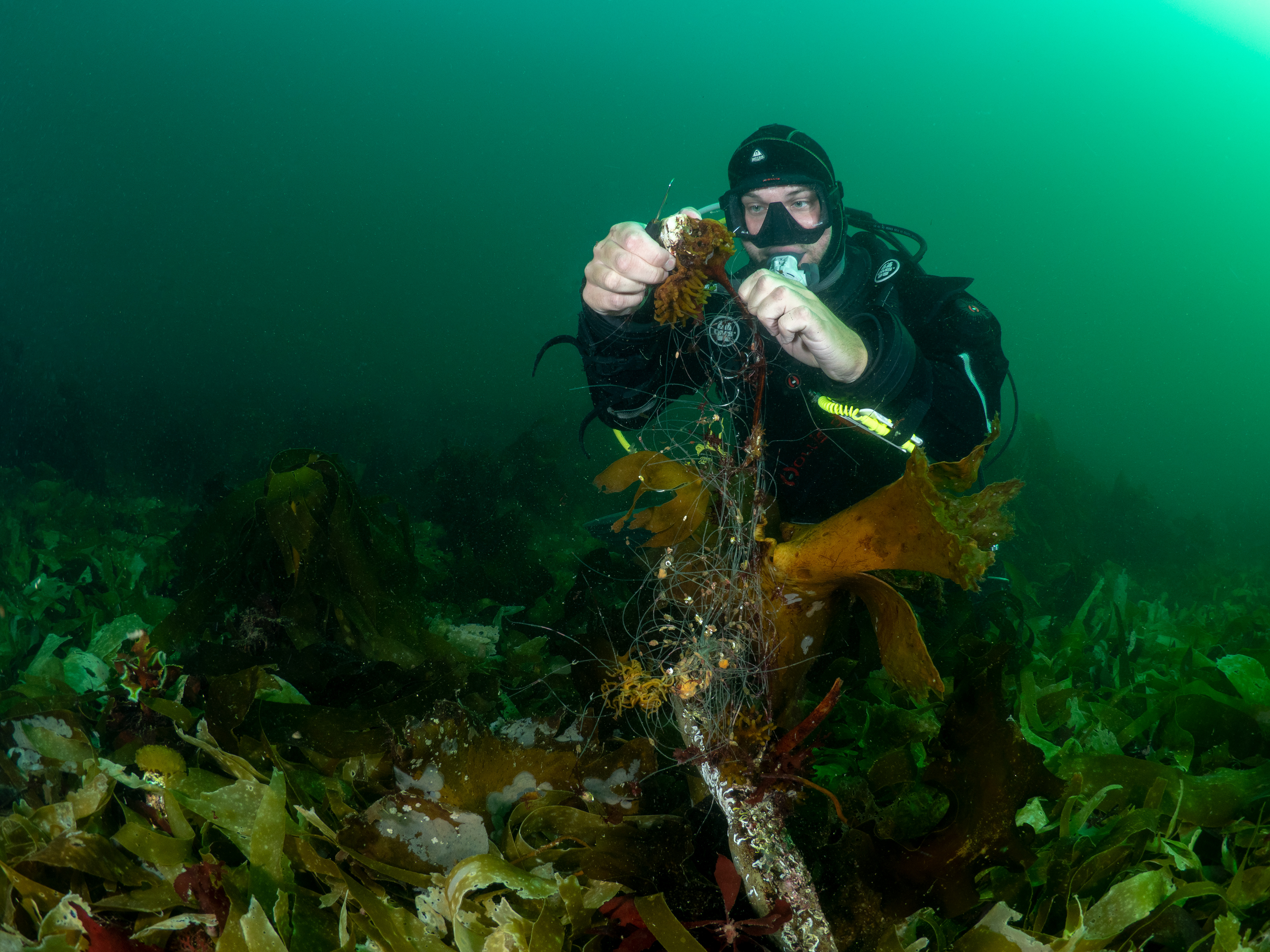 Diver removing fishing lines