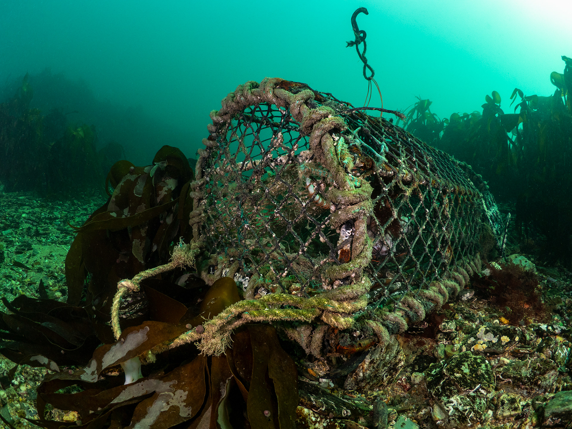 Lost pot in shallows