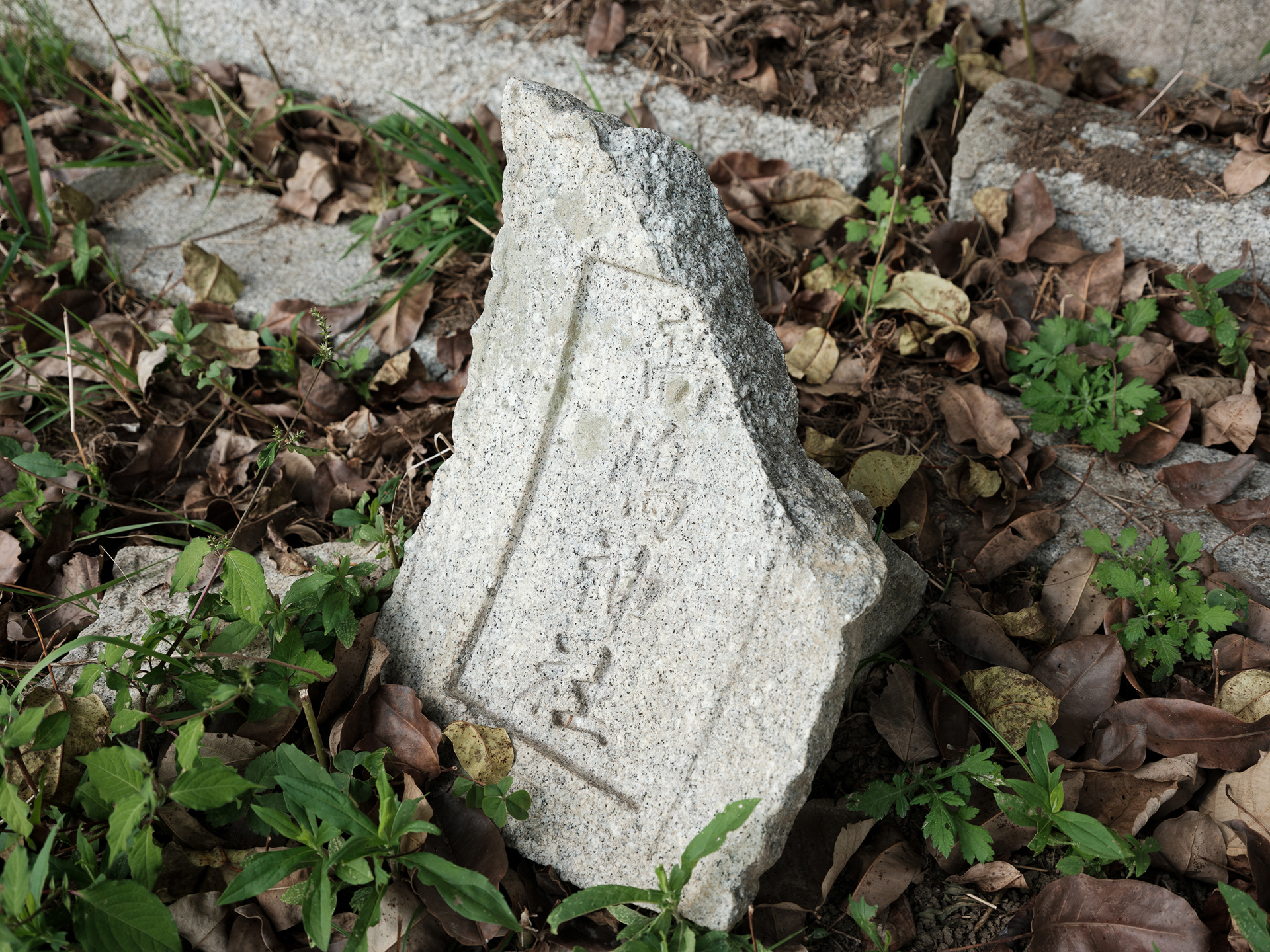 〈다카시마 신사 옛 비석〉（Old Stele of Takashima Shrine／高島神社旧碑）, 2025