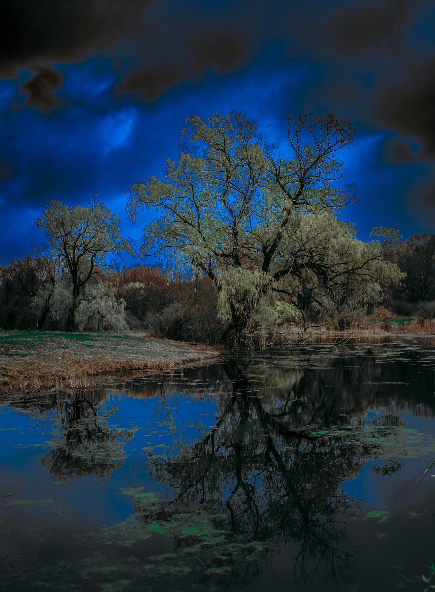 Reflection