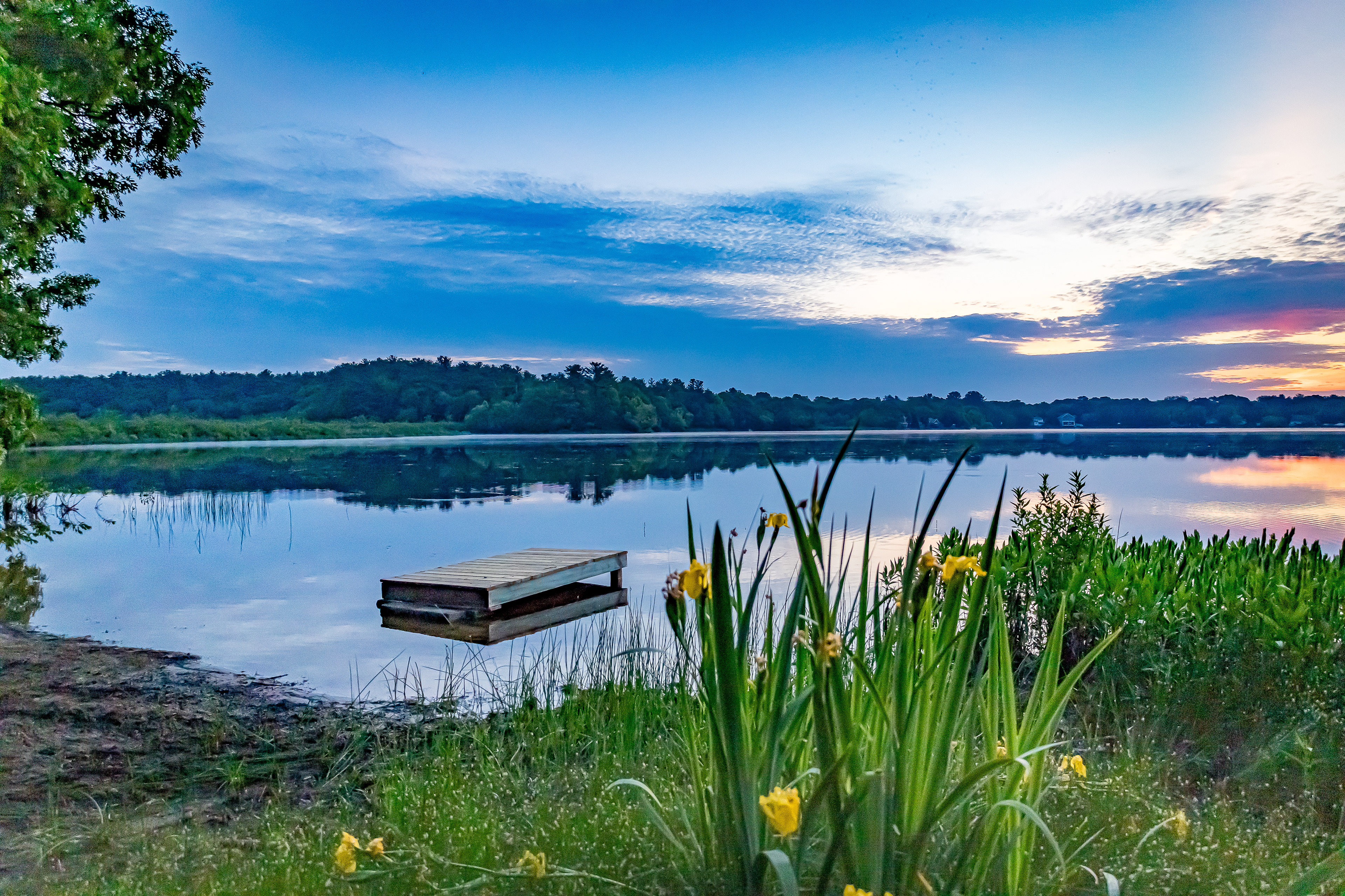 Morning Refuge