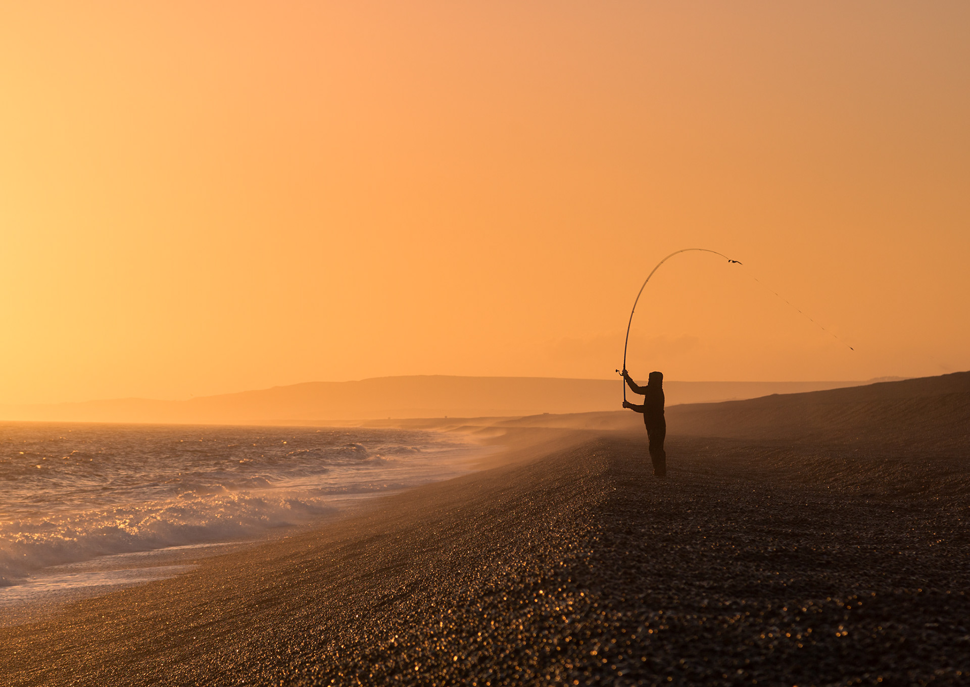 Chesil Fishing