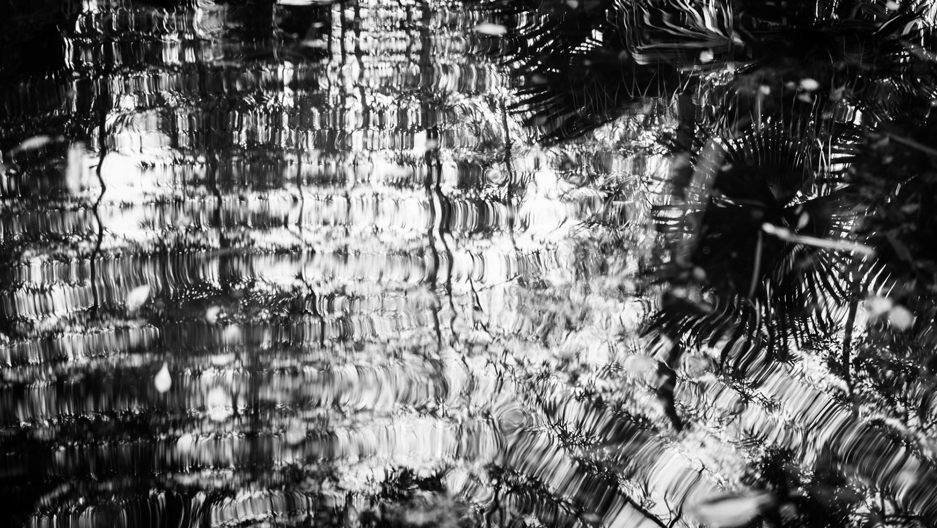 Reflections on water