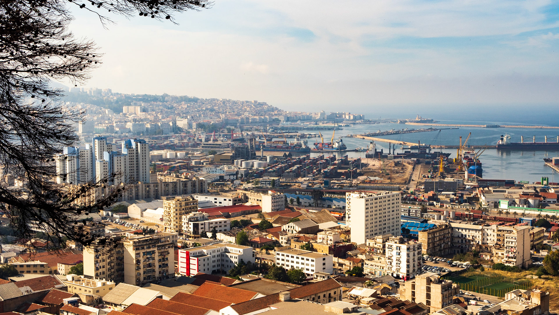 Algiers the city