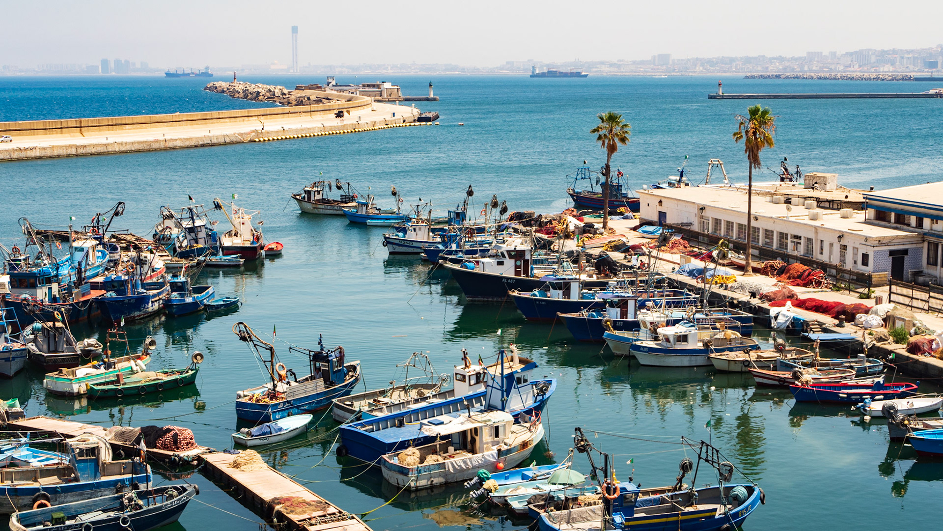 Algiers city by port of Algiers