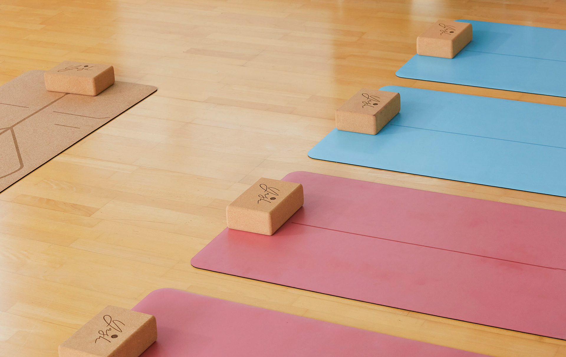 yoga mats set up for a yoga class 