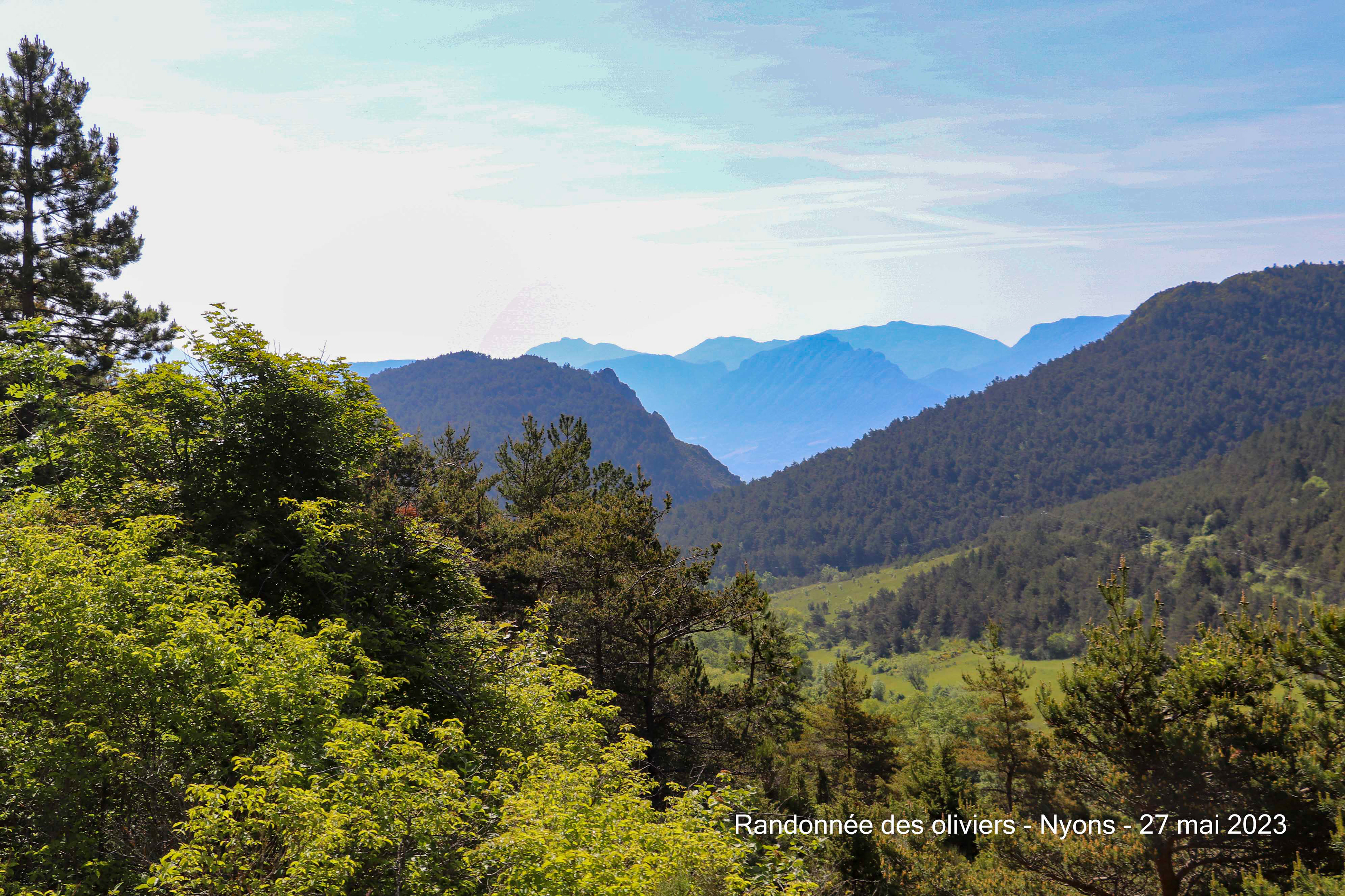 Dans de jolis paysages