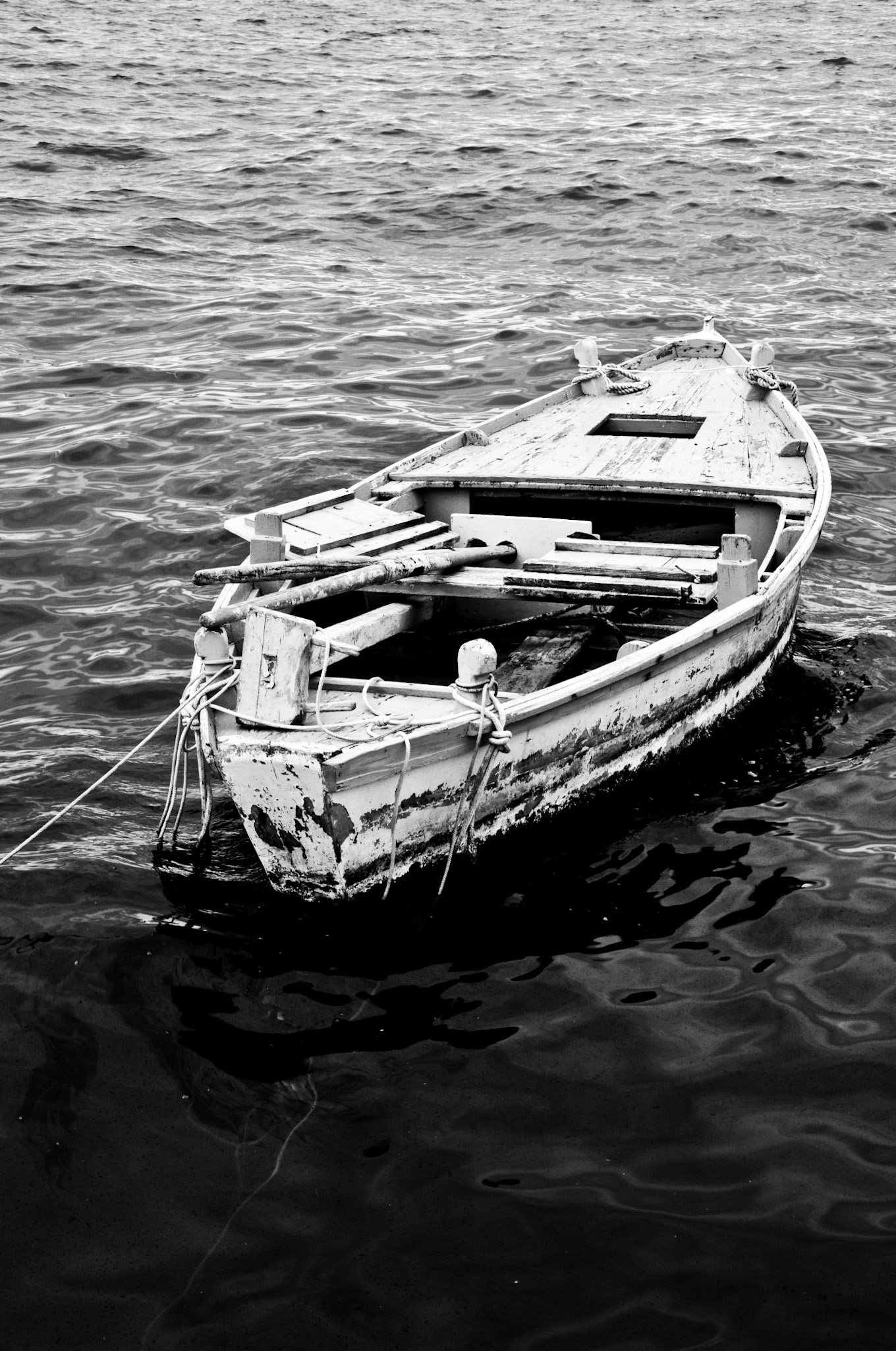 Rovinj