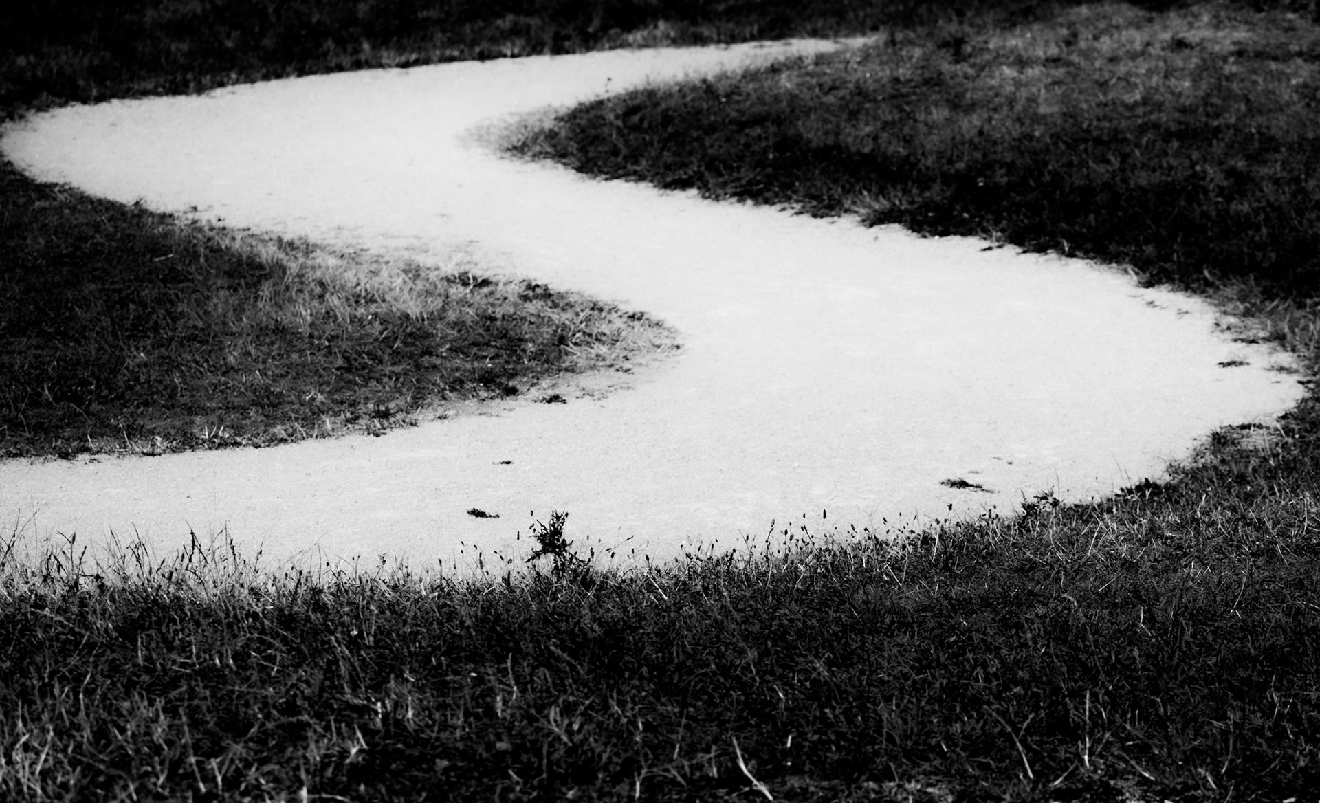 Vienna Tracks