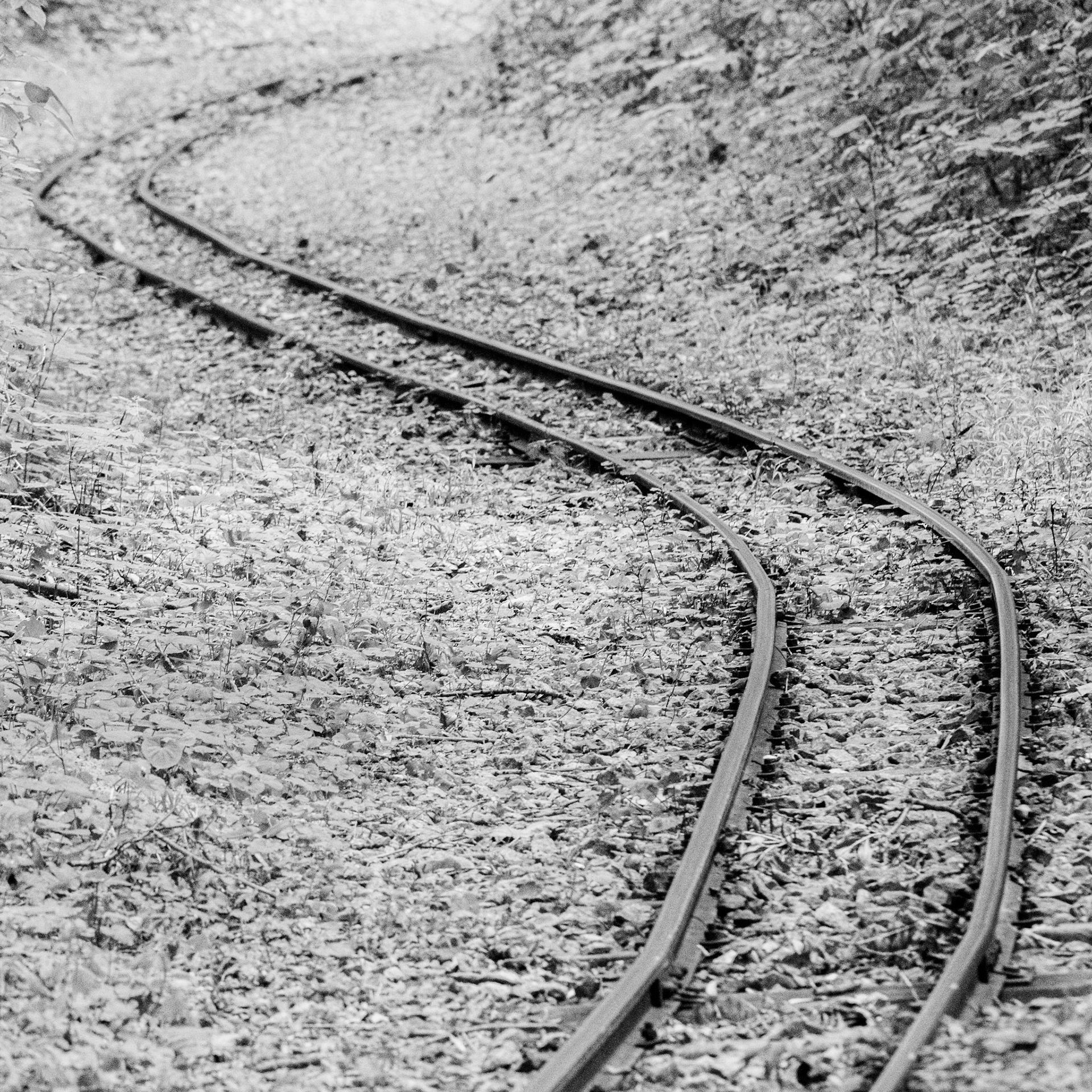Vienna Tracks