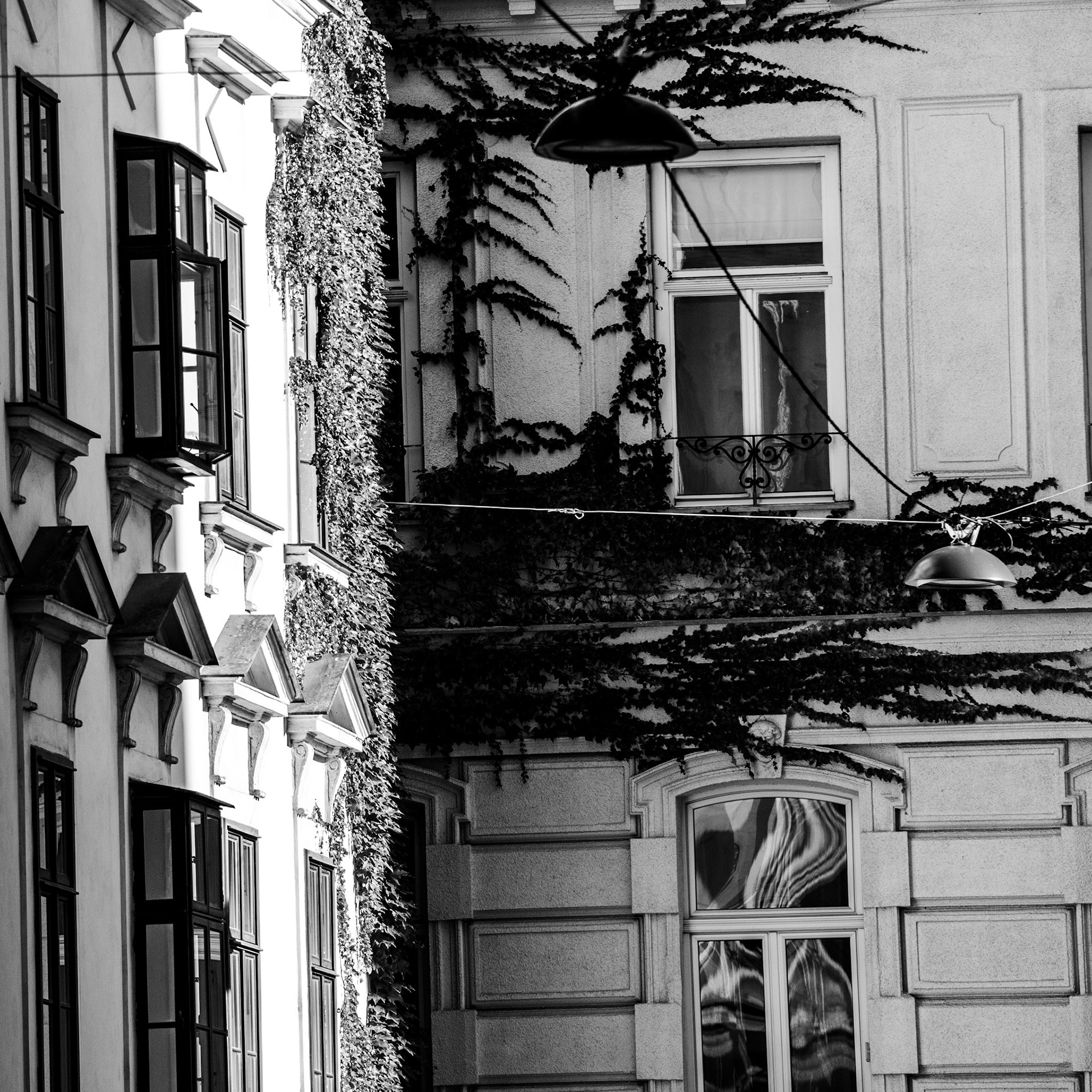 Vienna