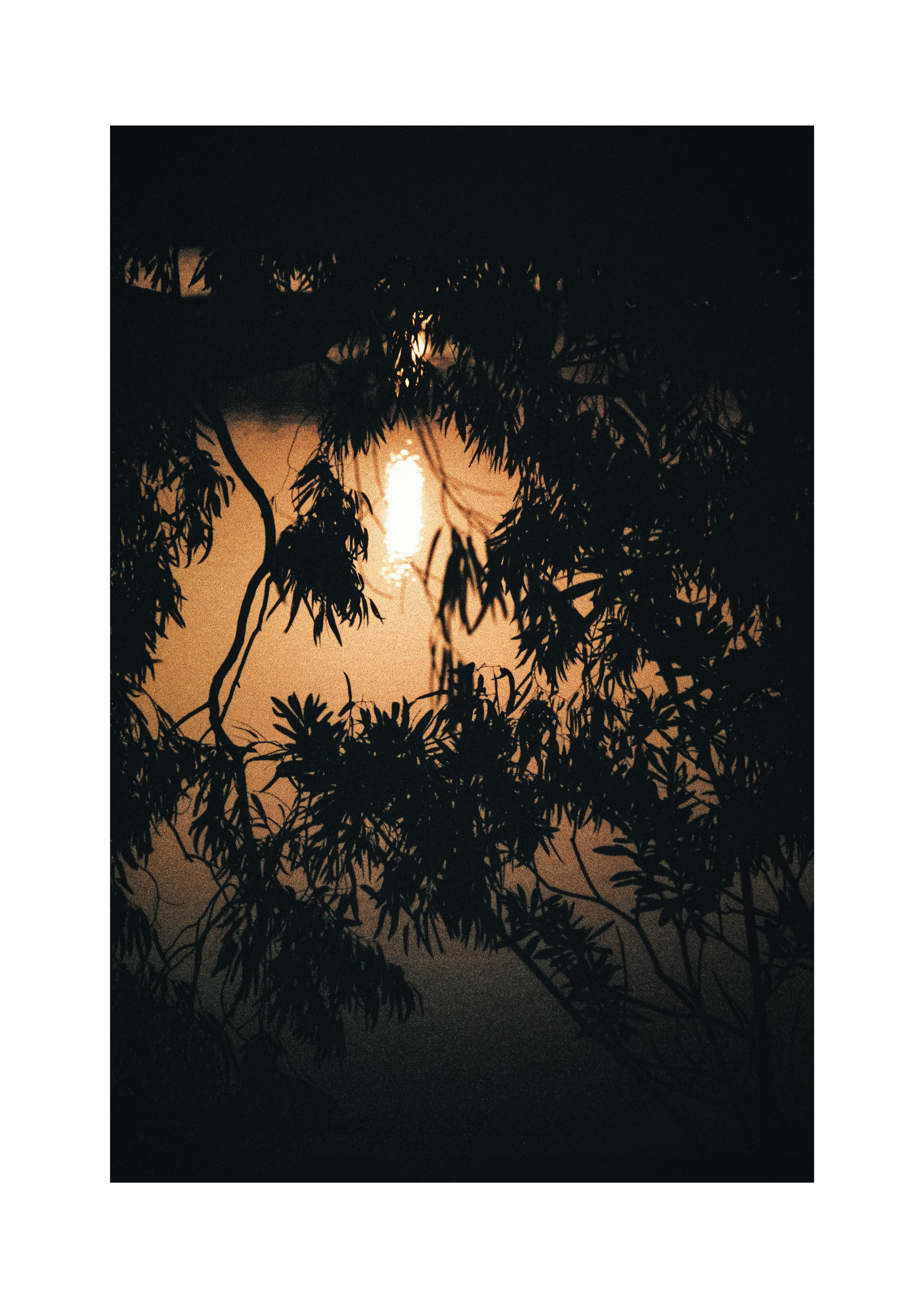Sunset reflections