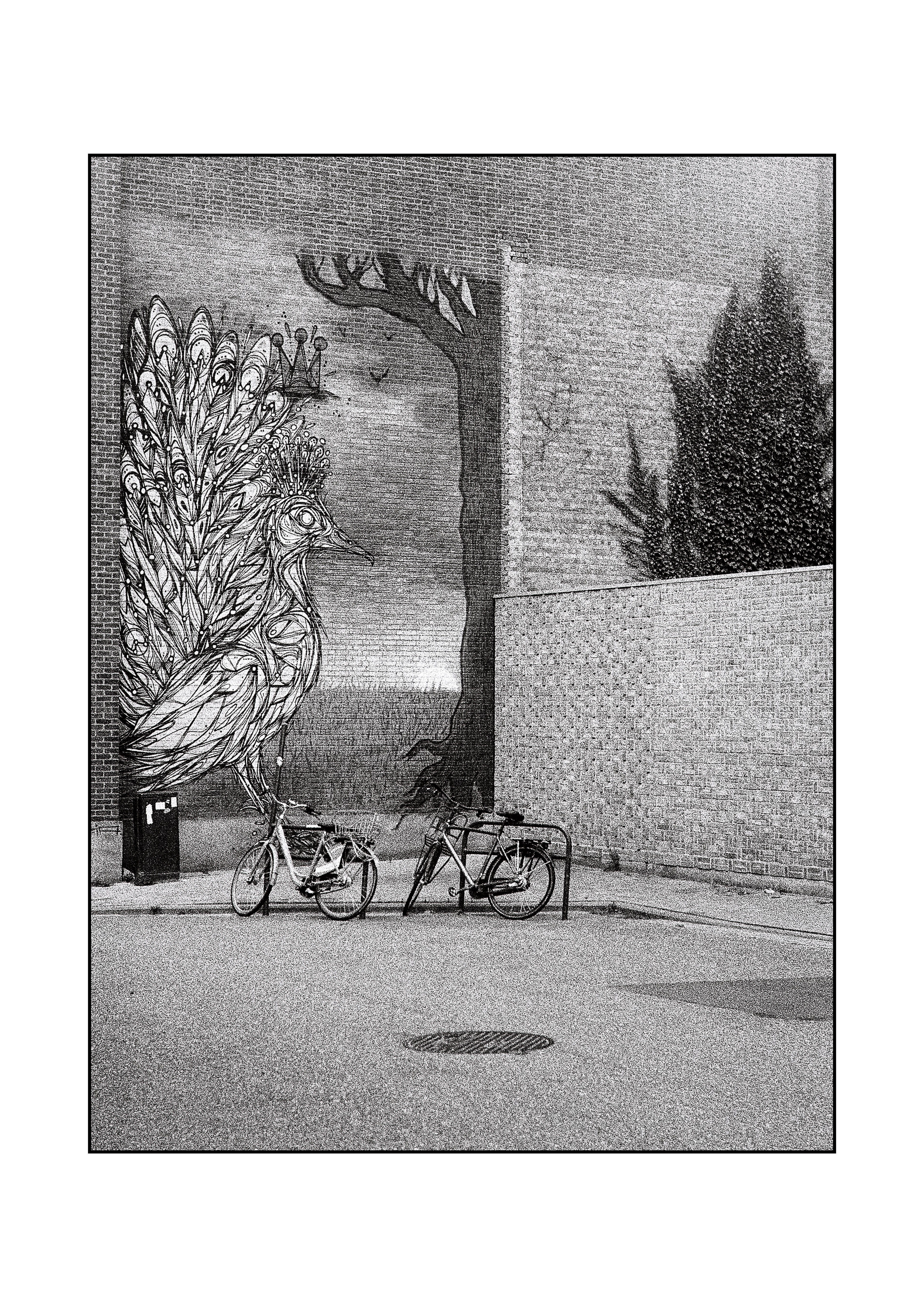 Wall art, Leuven