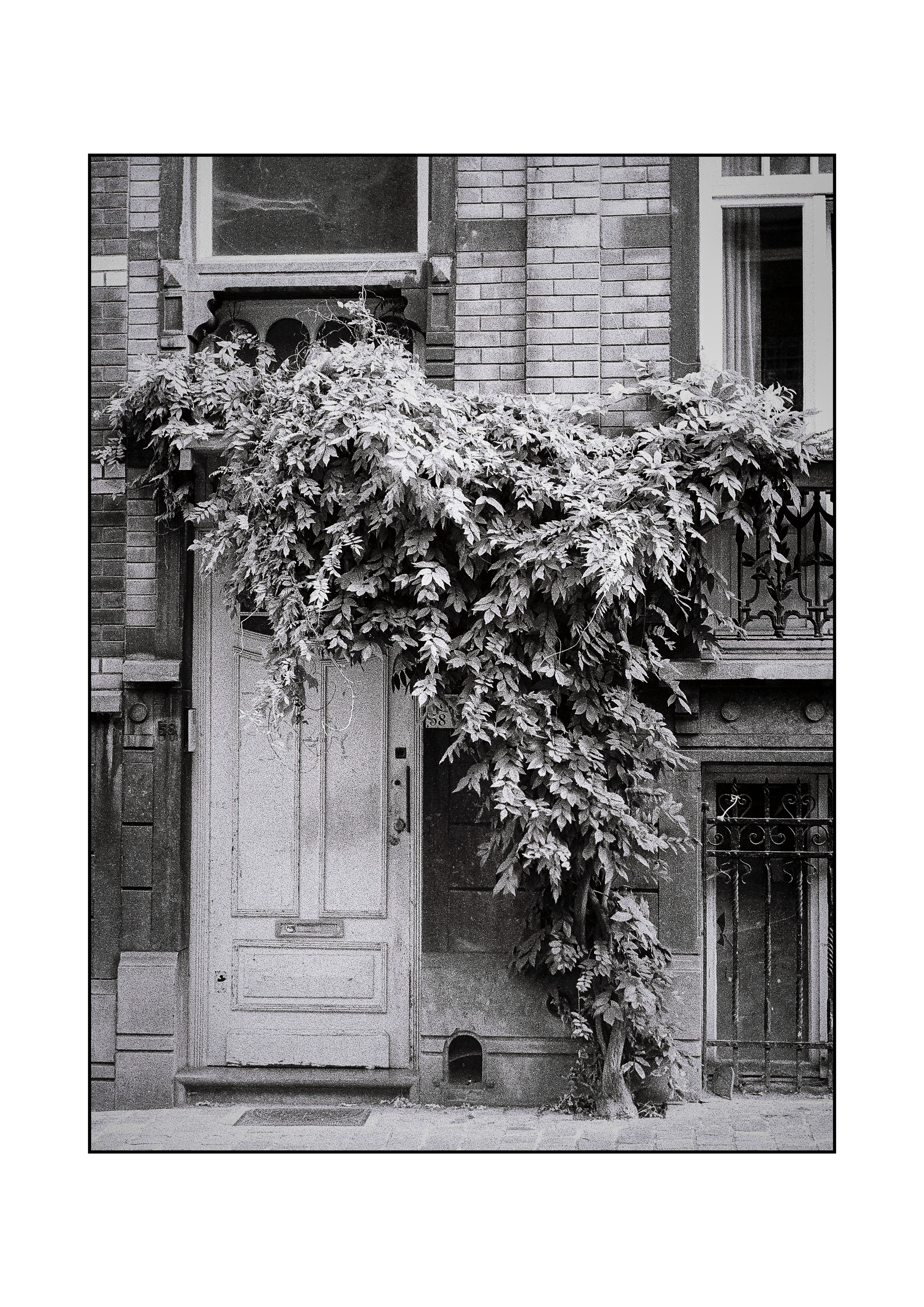 Ixelles, Brussels