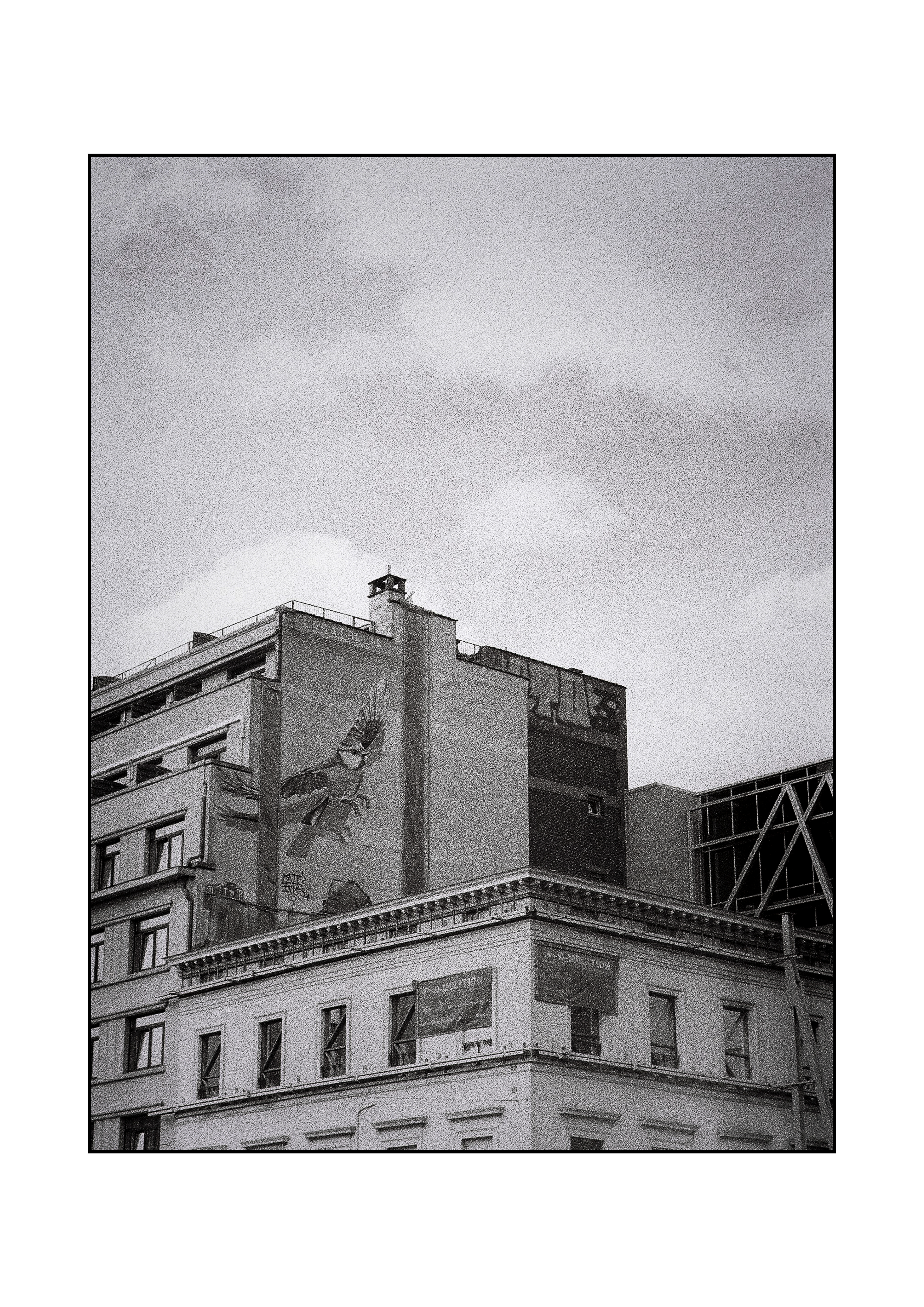 Wall art, Brussels