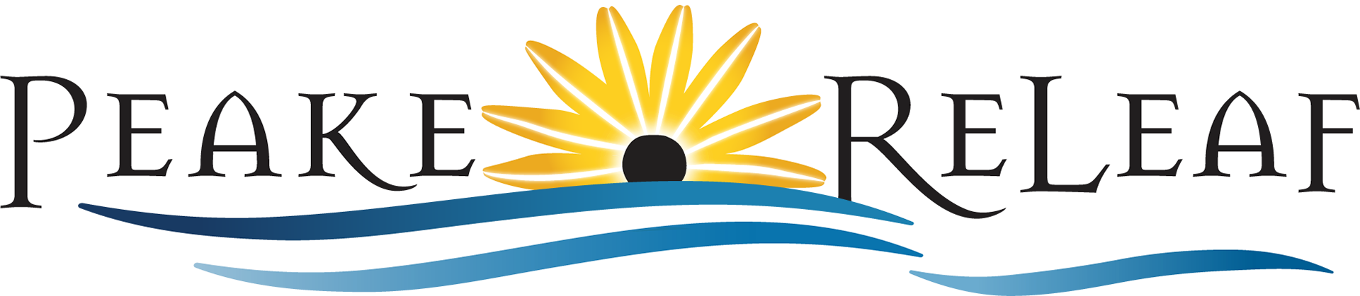 Medical Cannabis Dispensary logo without the Cannabis leaf graphic