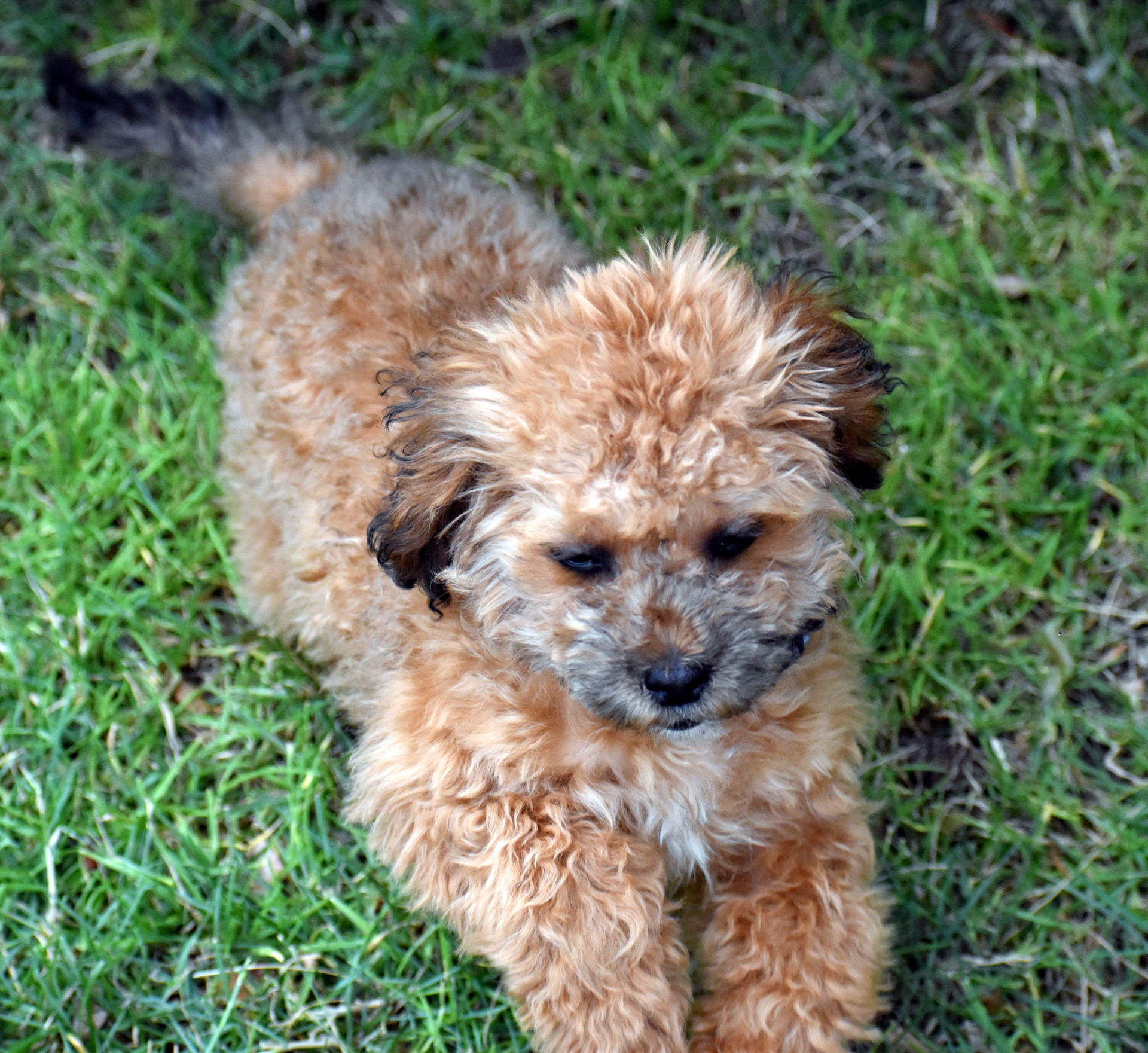 Look, it was hard enough to get him to sit still for a second. He wasn't smiling for the camera.