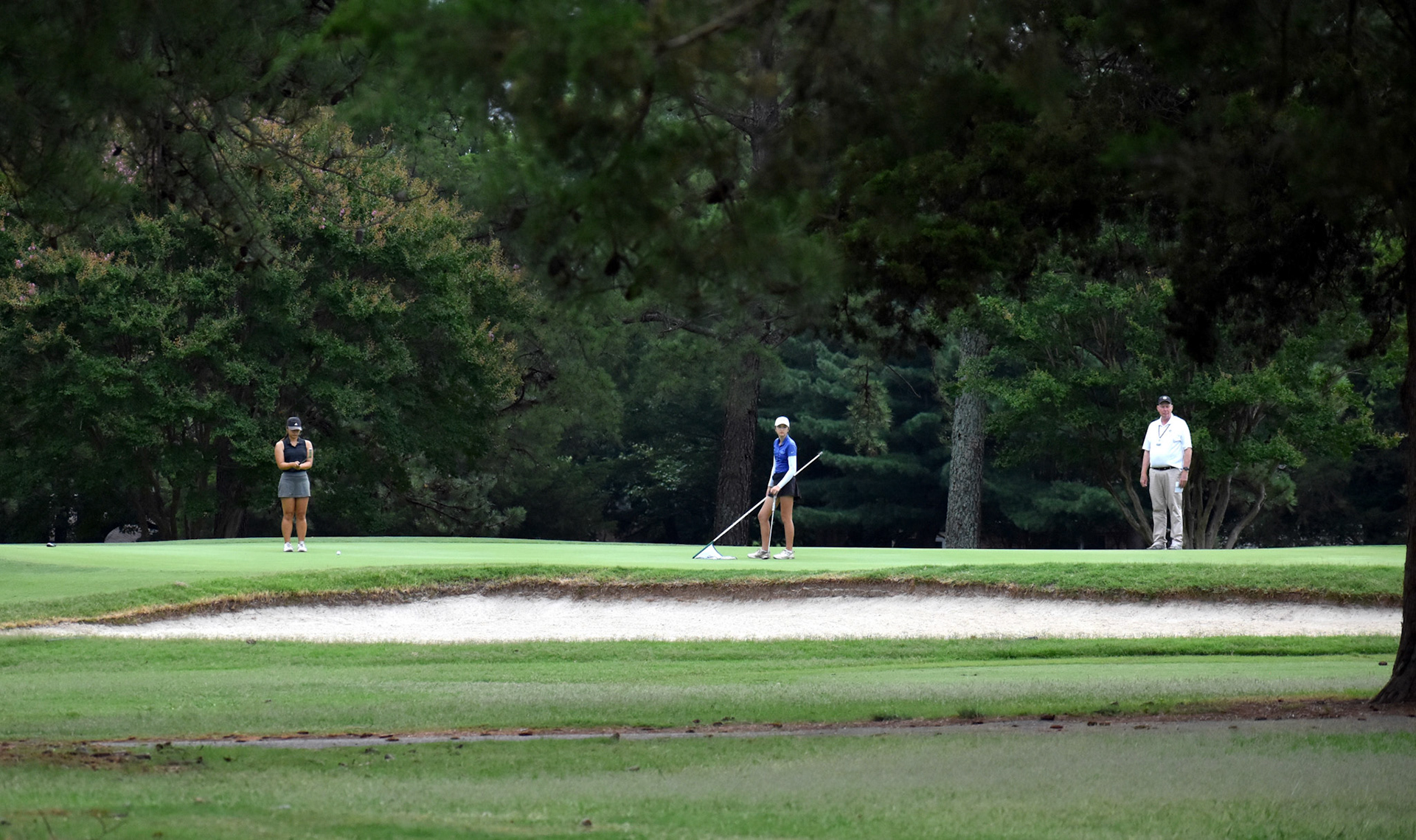 The scene on 14 during the semifinals at Meadowbrook