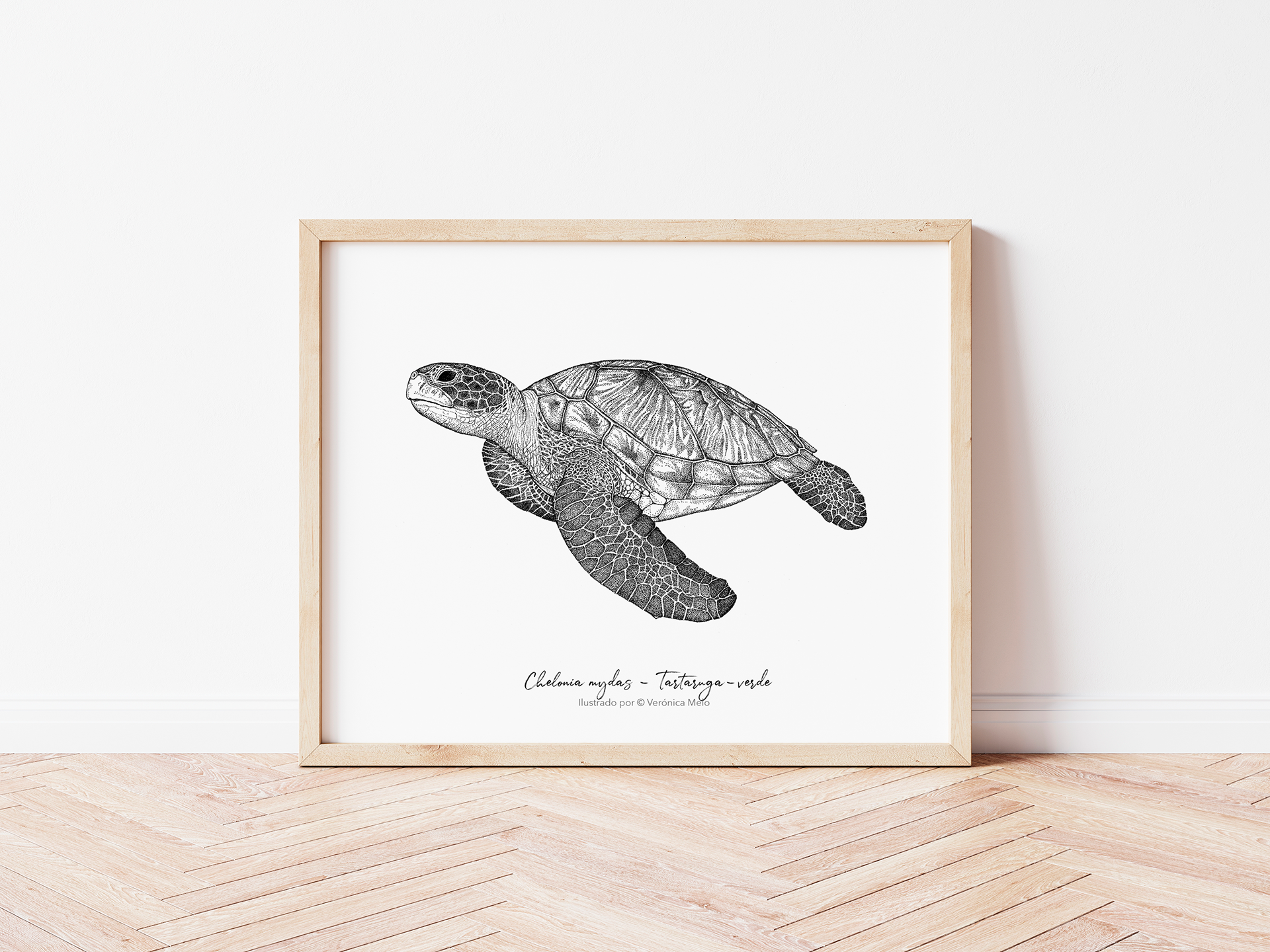 green turtle illustration
