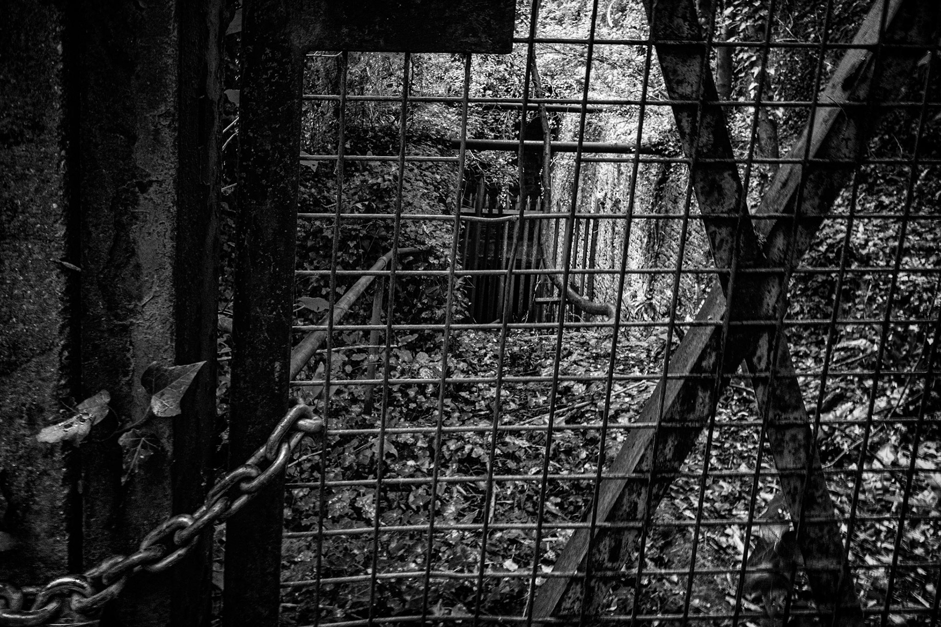 The locked kingdom