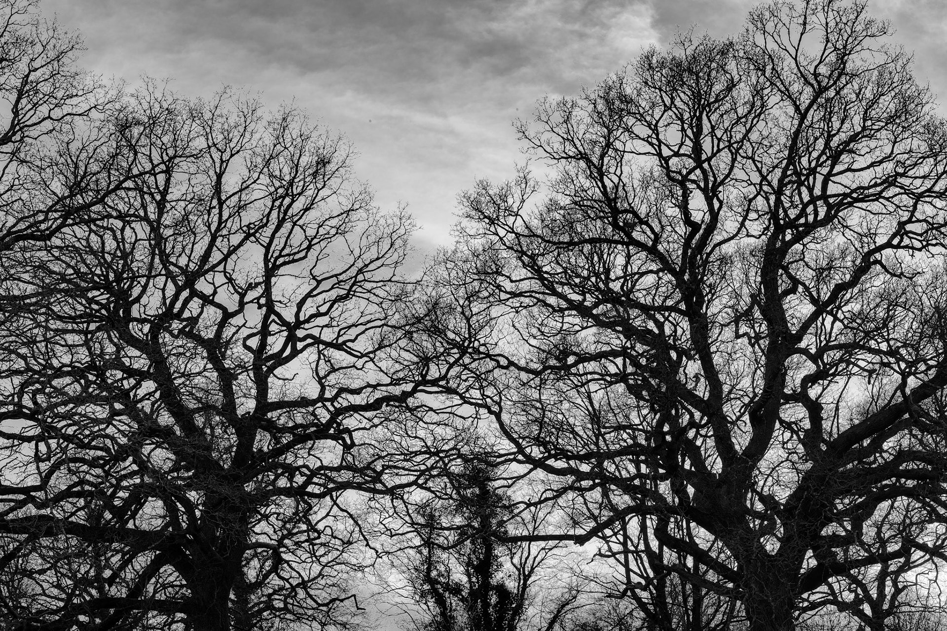 In the shadow of giants.