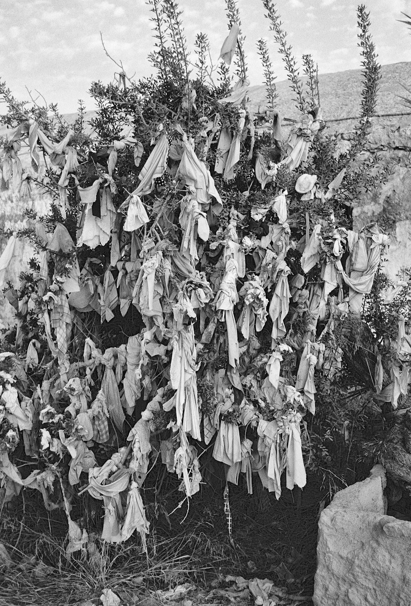 Votive offerings at the shrine tree of Agia Solomoni Catacombs, Paphos, Cyprus, 1998.