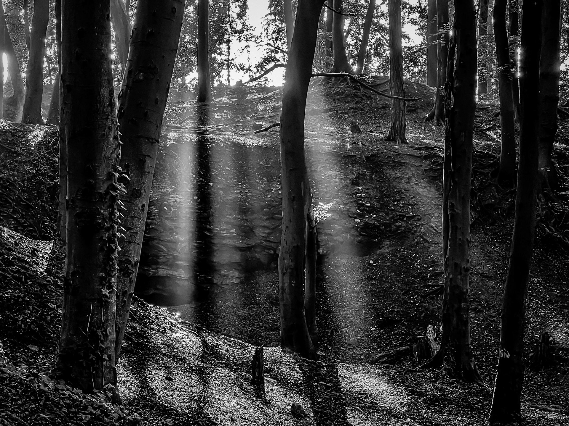The Light Fades