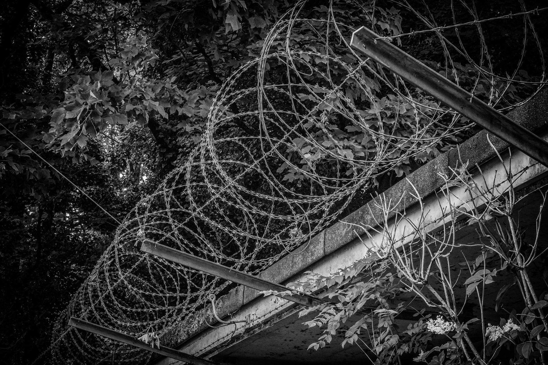 Exclusion