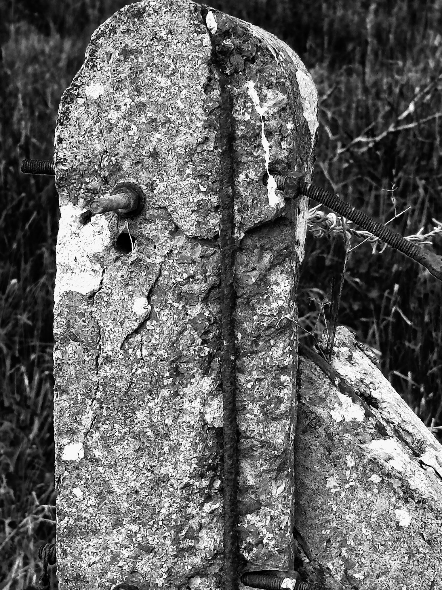 A lone concrete post, weathered and cracked, stands firm despite the pull of rust and time.