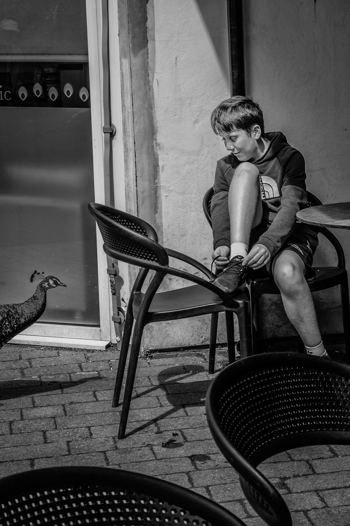 A quiet Corsham moment: a boy focuses on his shoelace, unaware of the feathered guest approaching from the wings.